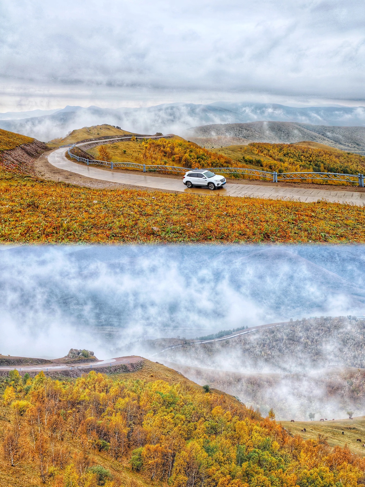 坝上原始草原旅游区(暂停开放)旅行图片 2