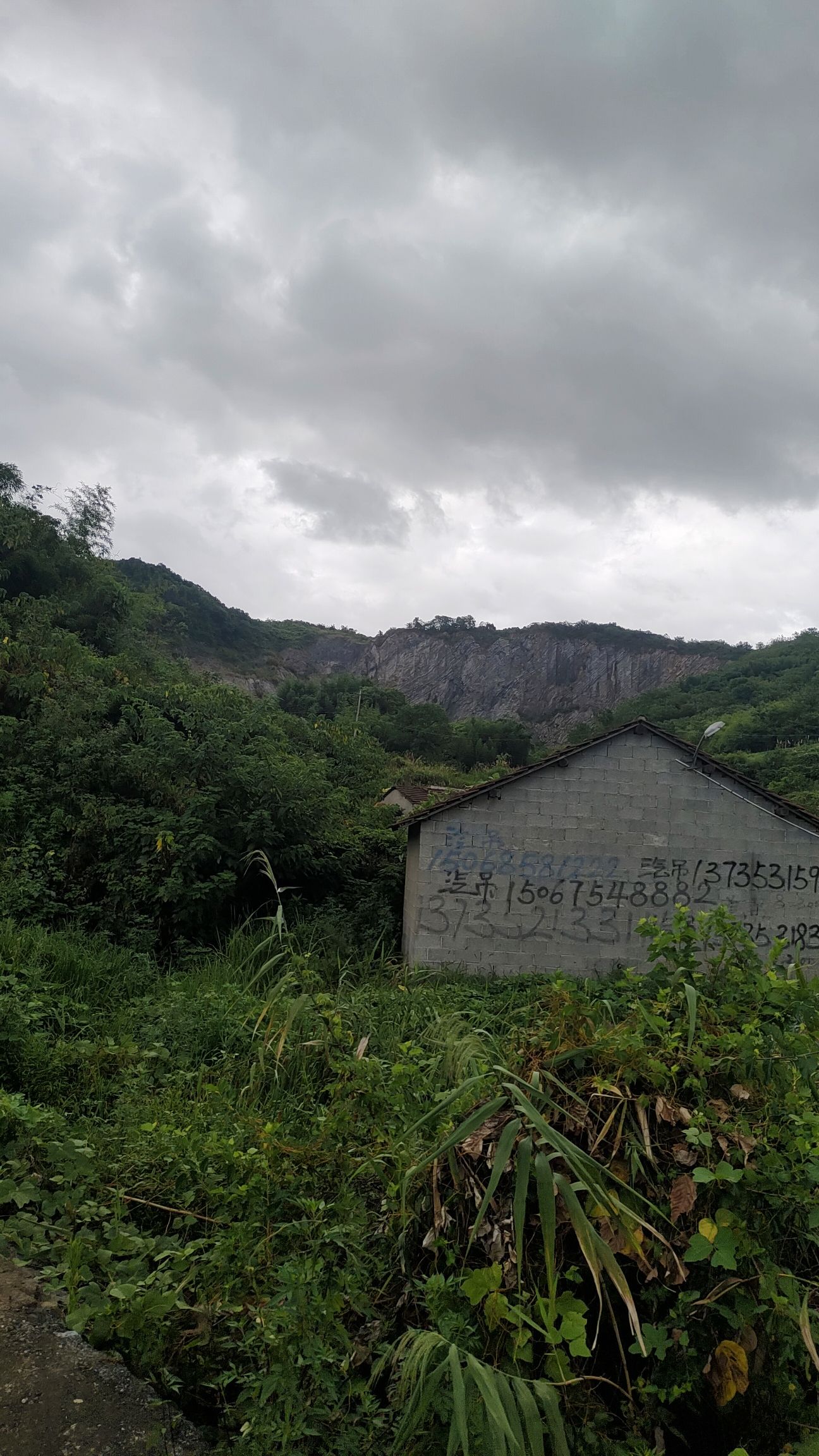 小巴厘岛旅行图片 3