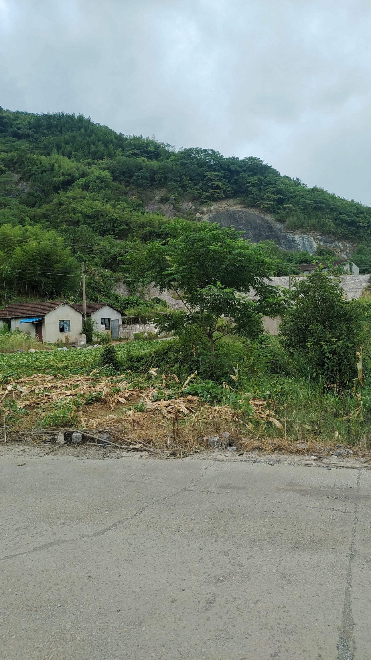 小巴厘岛旅行图片 2