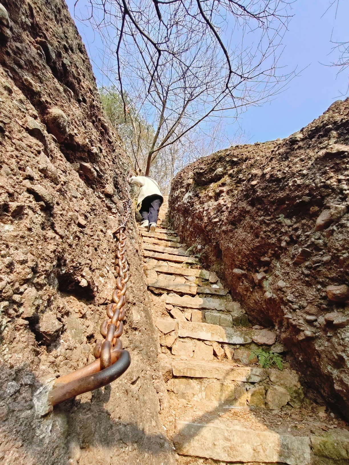 郑家坞一线天旅行图片 3