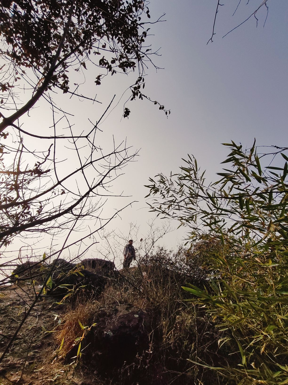 郑家坞一线天旅行图片 1