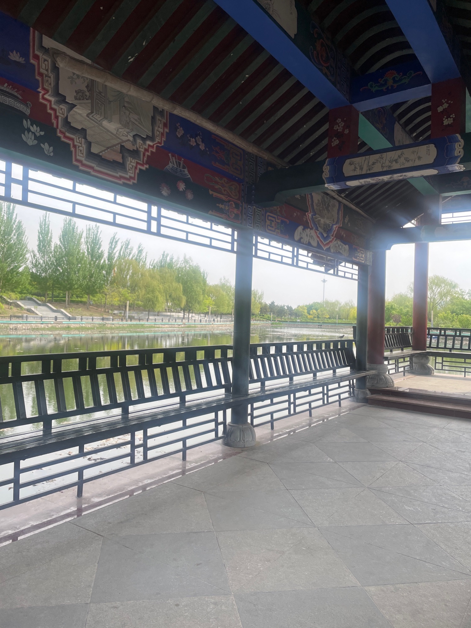 赵林阳禅意荷花池旅行图片 1