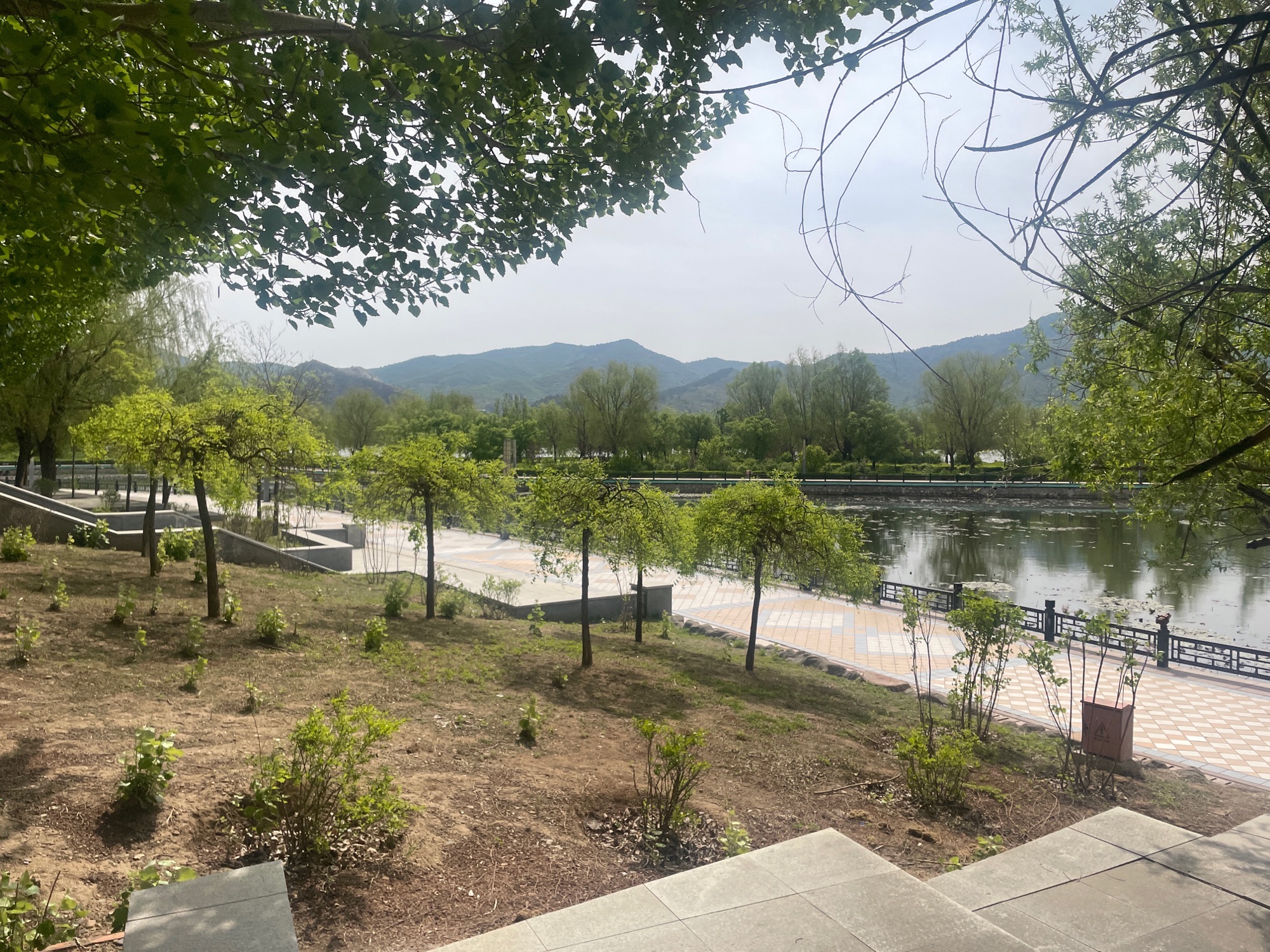 赵林阳禅意荷花池旅行图片 2