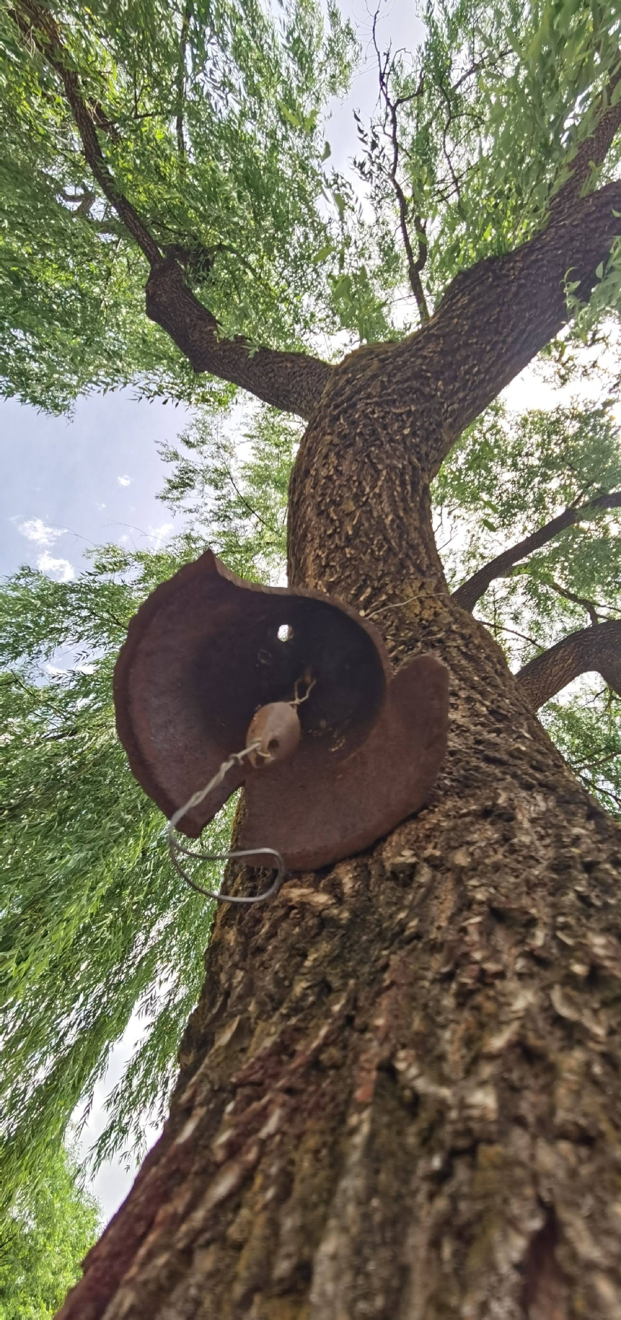 阜平林上清溪康养旅游度假小镇旅行图片 3