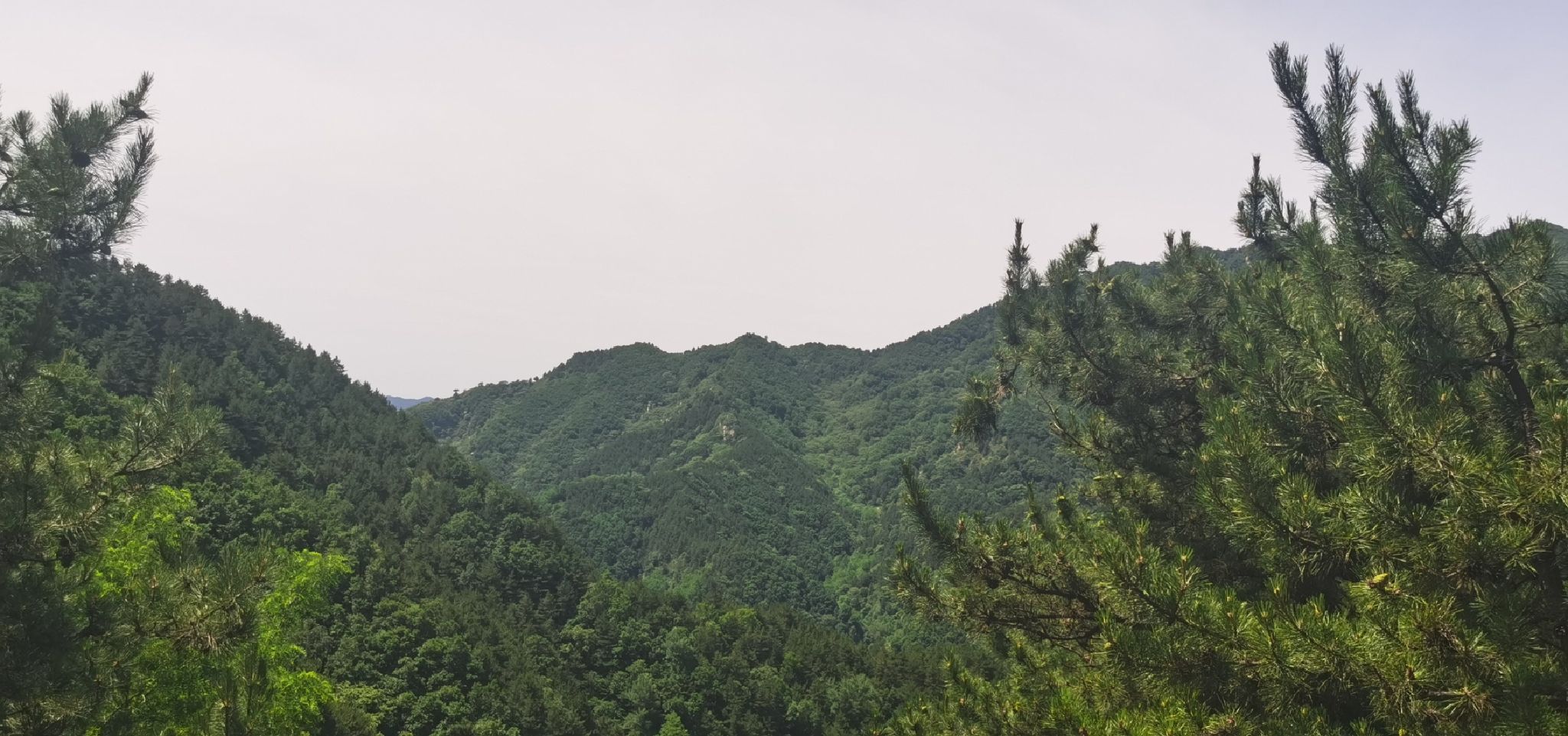 阜平林上清溪康养旅游度假小镇旅行图片 1