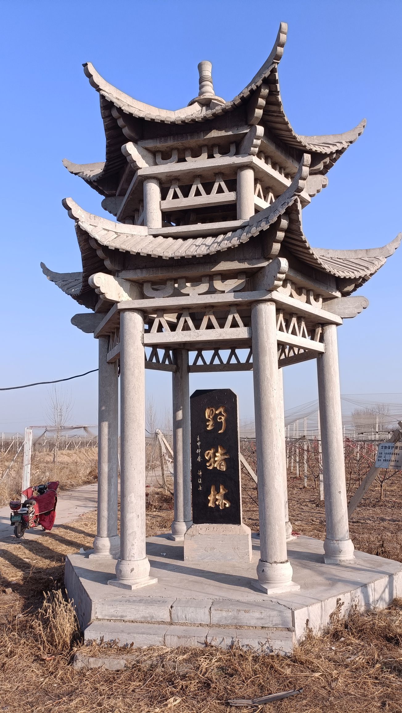 野猪林旅行图片 1
