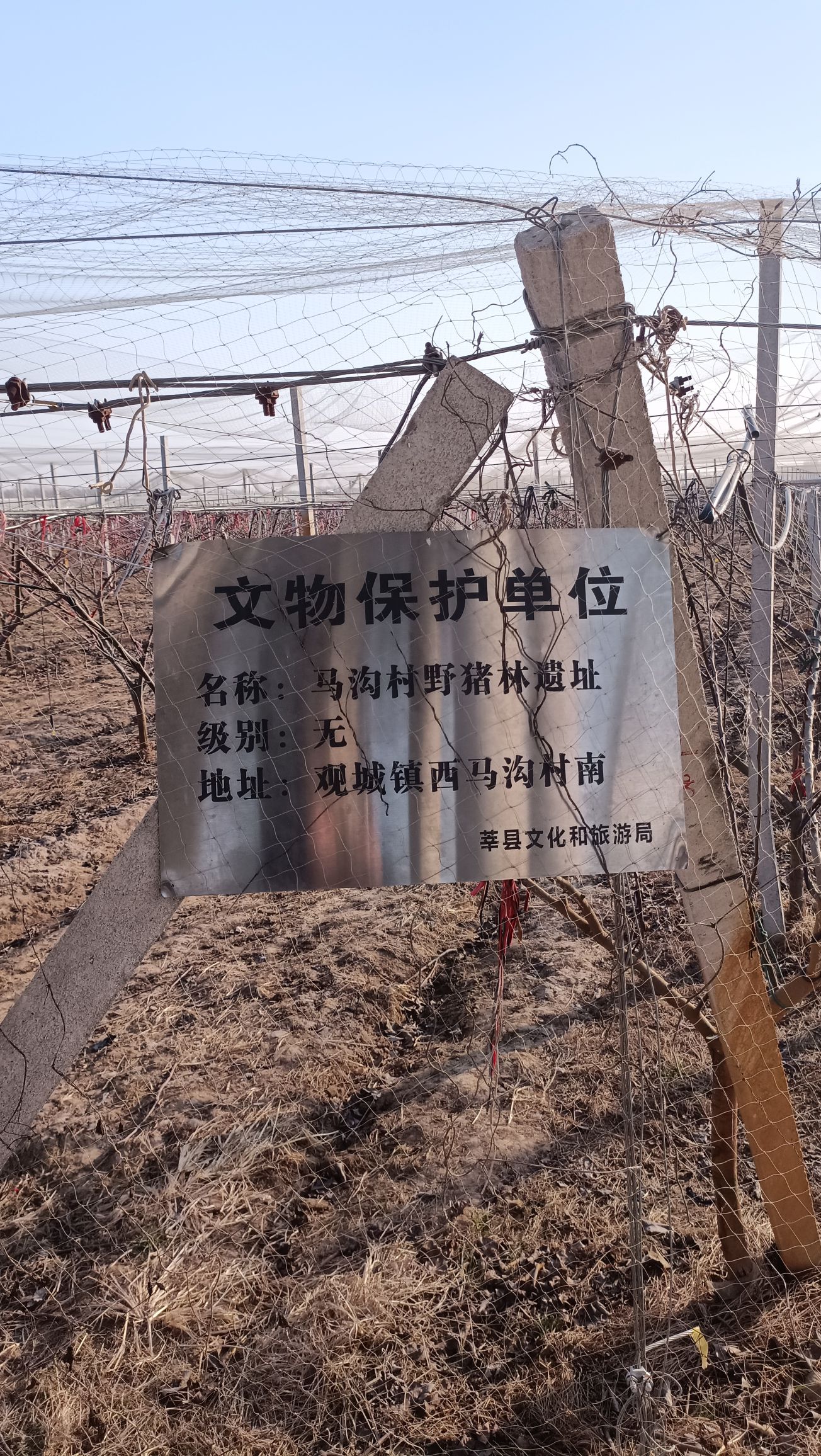 野猪林旅行图片 3