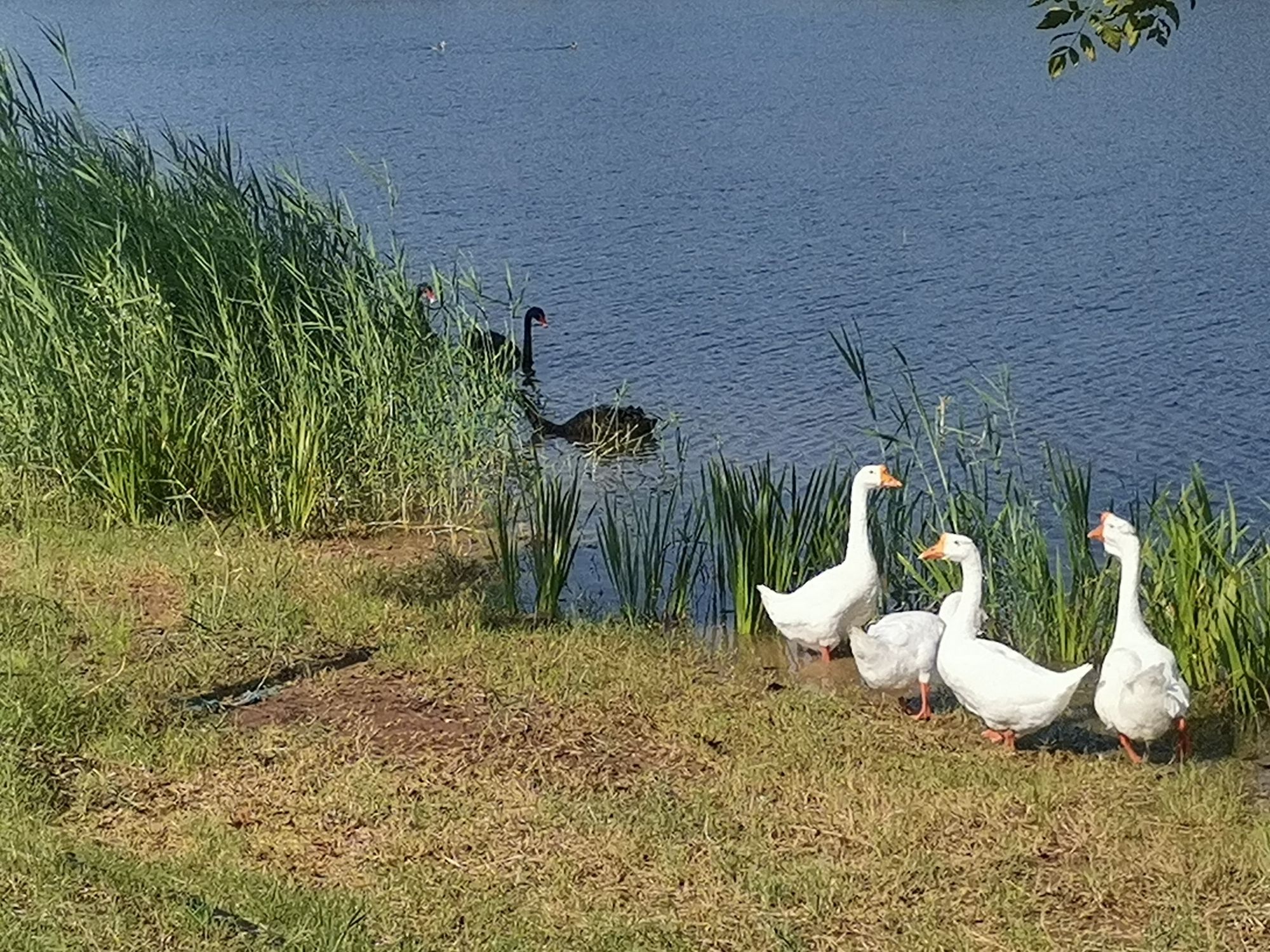 城南湿地公园玻璃栈道