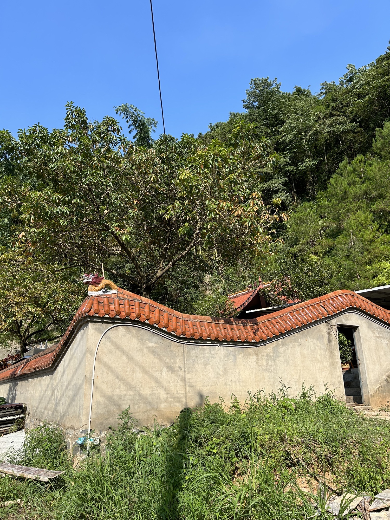 江南三圣庙旅行图片 2