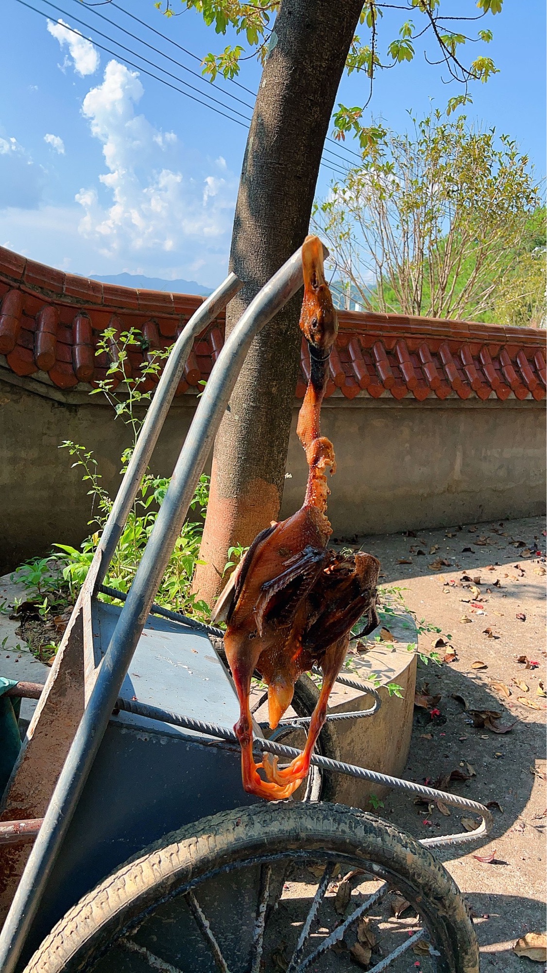 江南三圣庙旅行图片 1