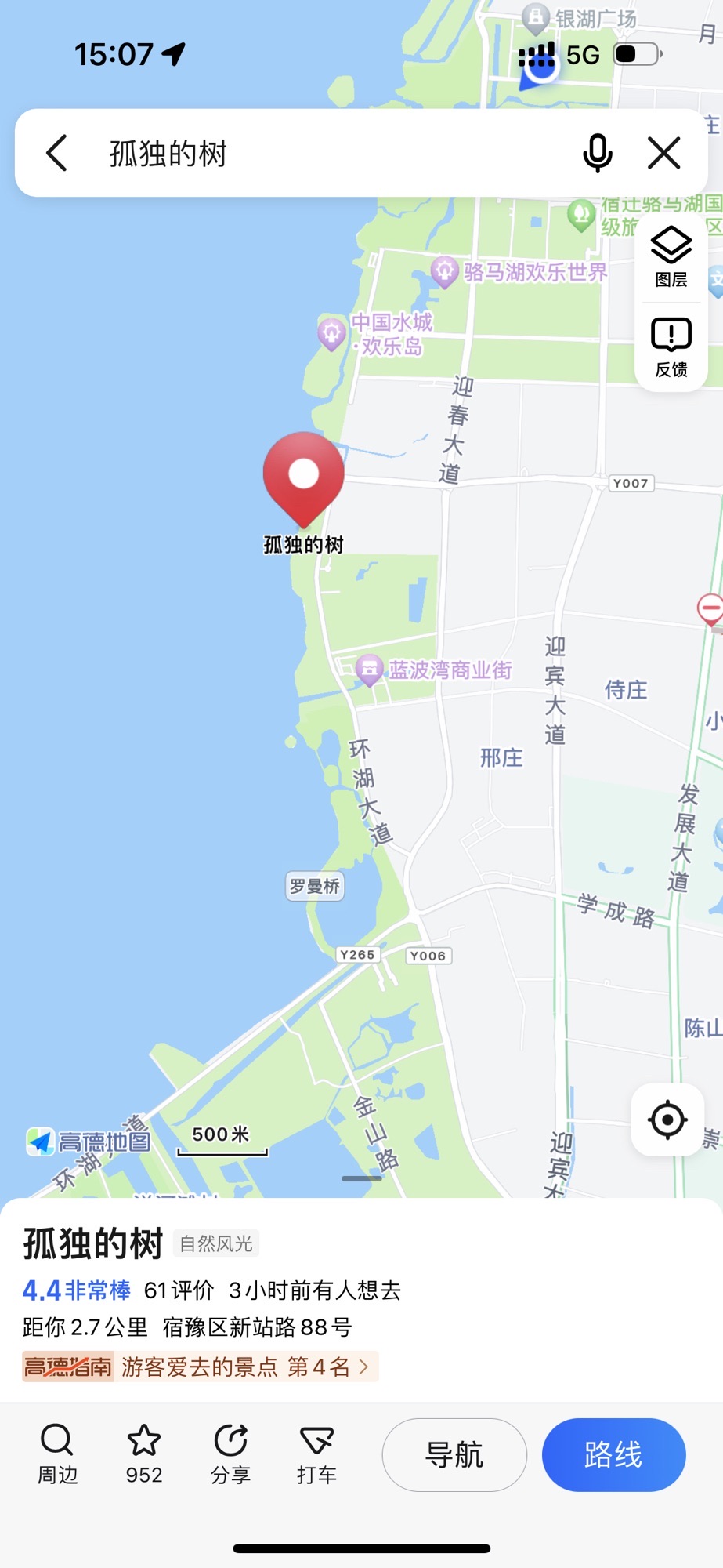 孤独的树旅行图片 1