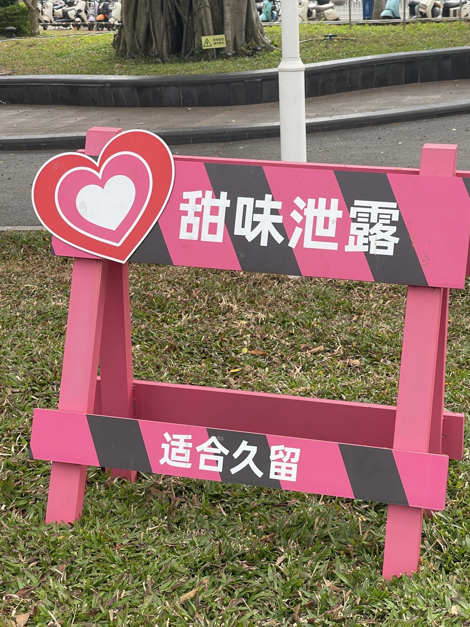 爱情公园旅行图片 3