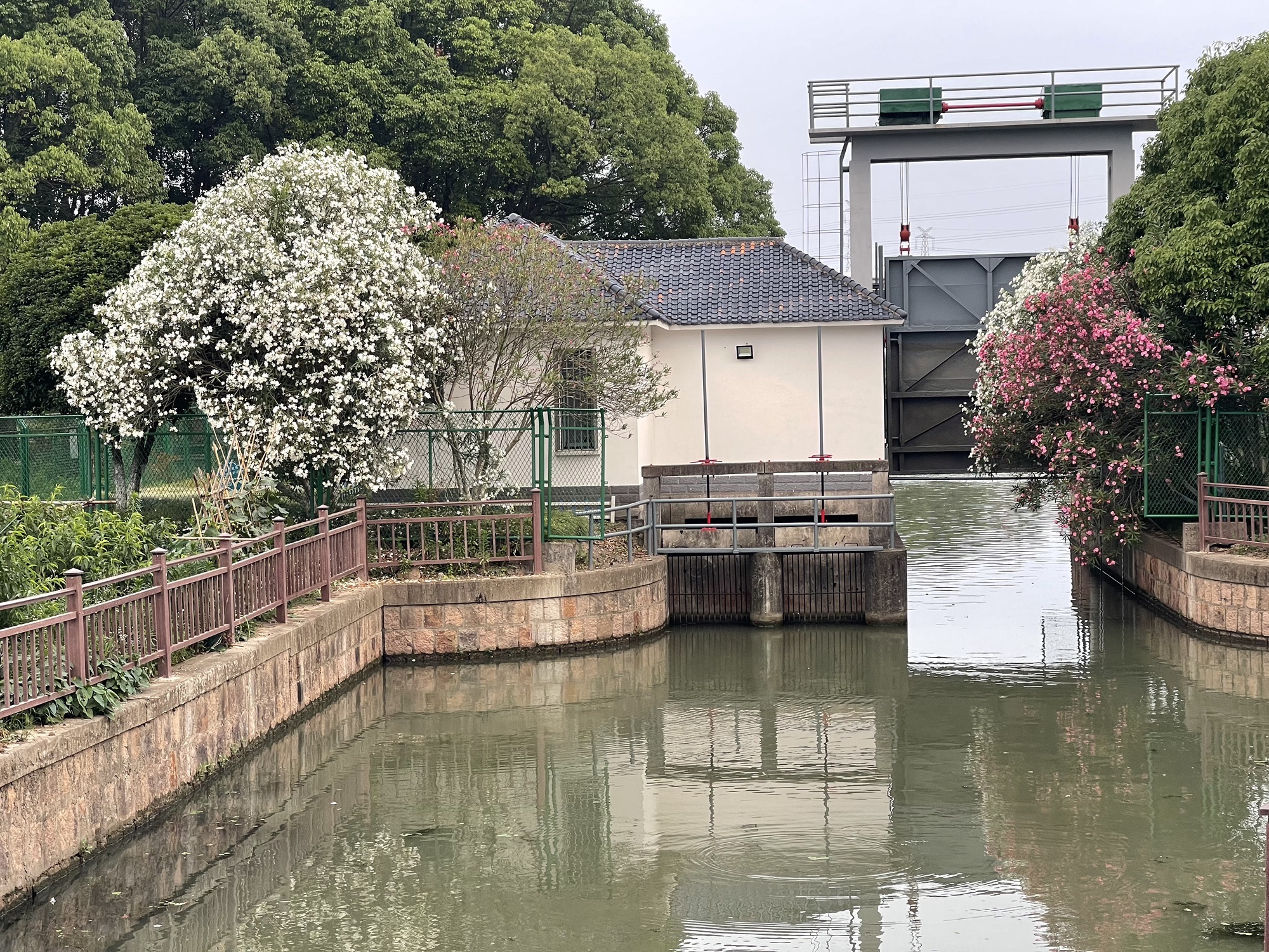 芥子园花谷旅行图片 2