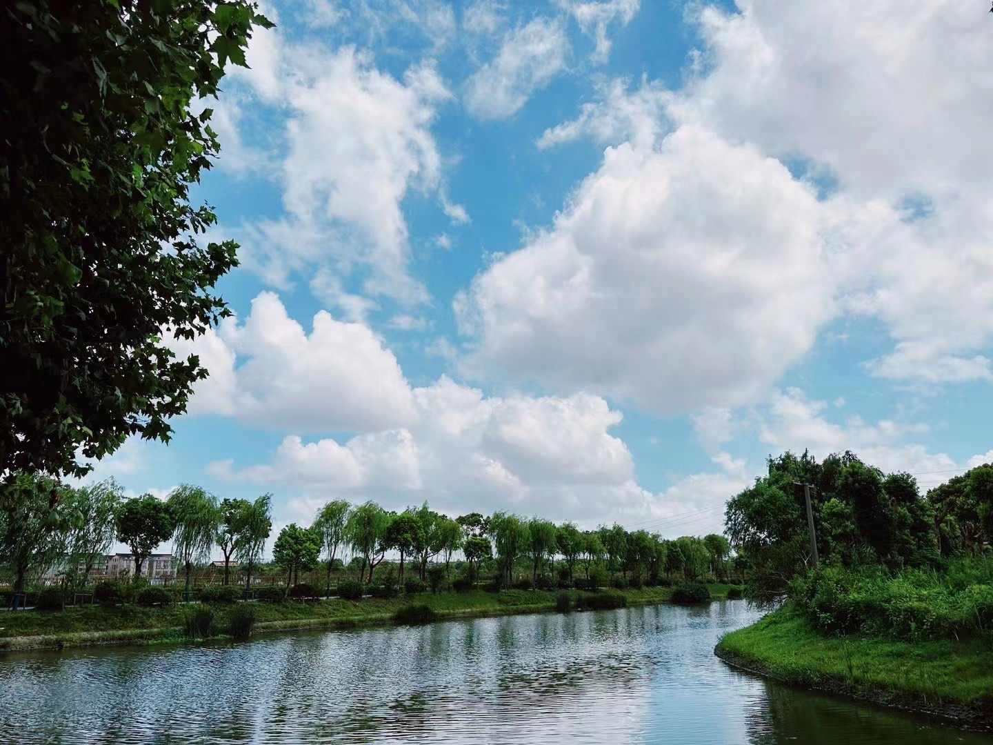 芥子园花谷旅行图片 1