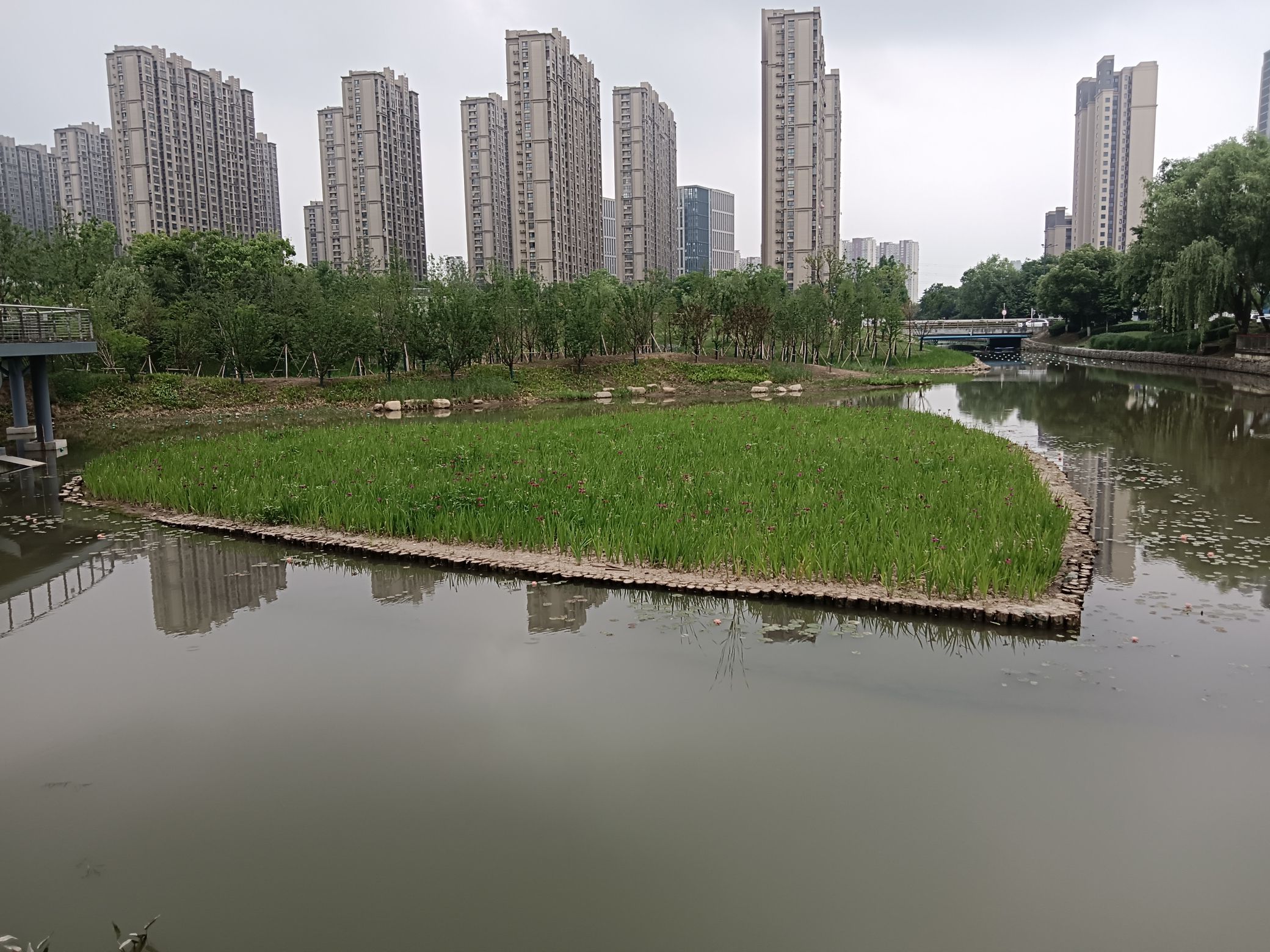 爱情湾生态公园旅行图片 3