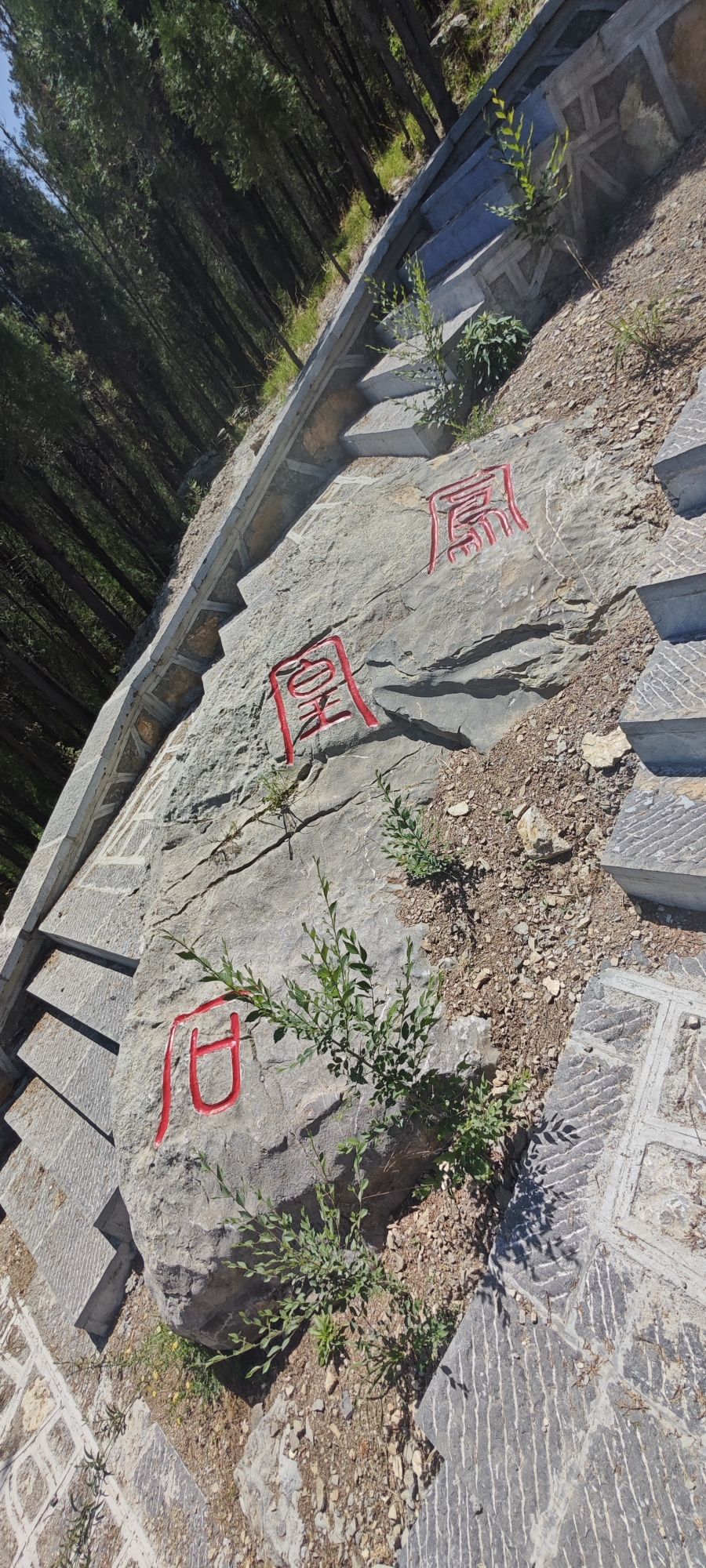 青铜山村入云端旅行图片 1