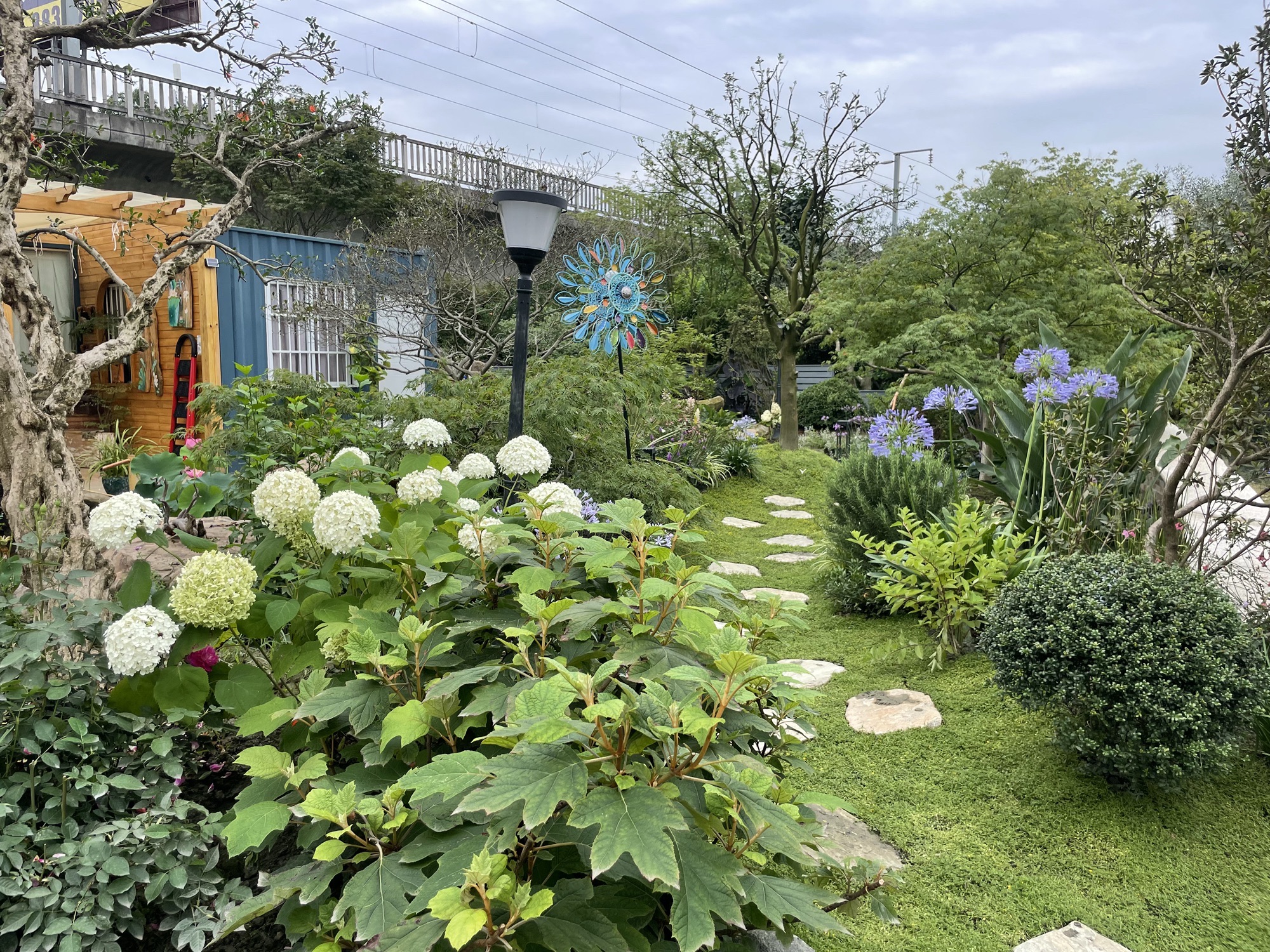 馥郁园林-蔷薇花园旅行图片 2
