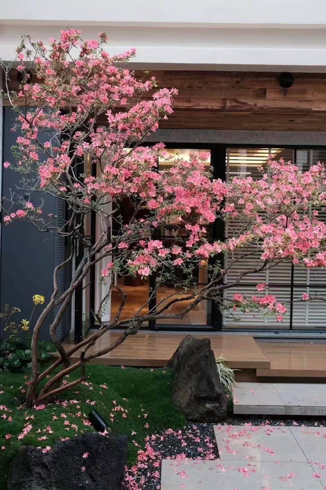 馥郁园林-蔷薇花园旅行图片 1