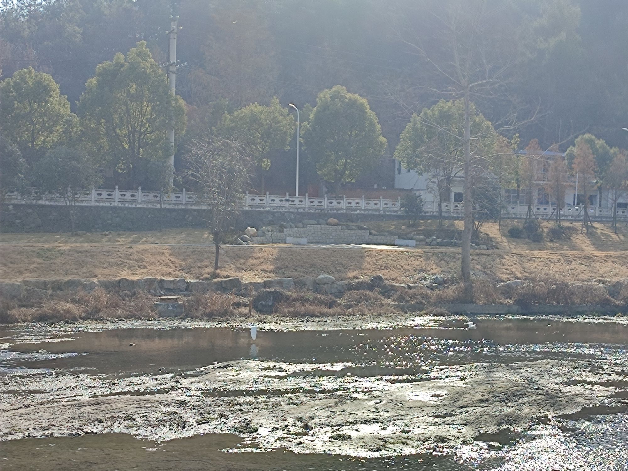 泗河湿地旅行图片 3