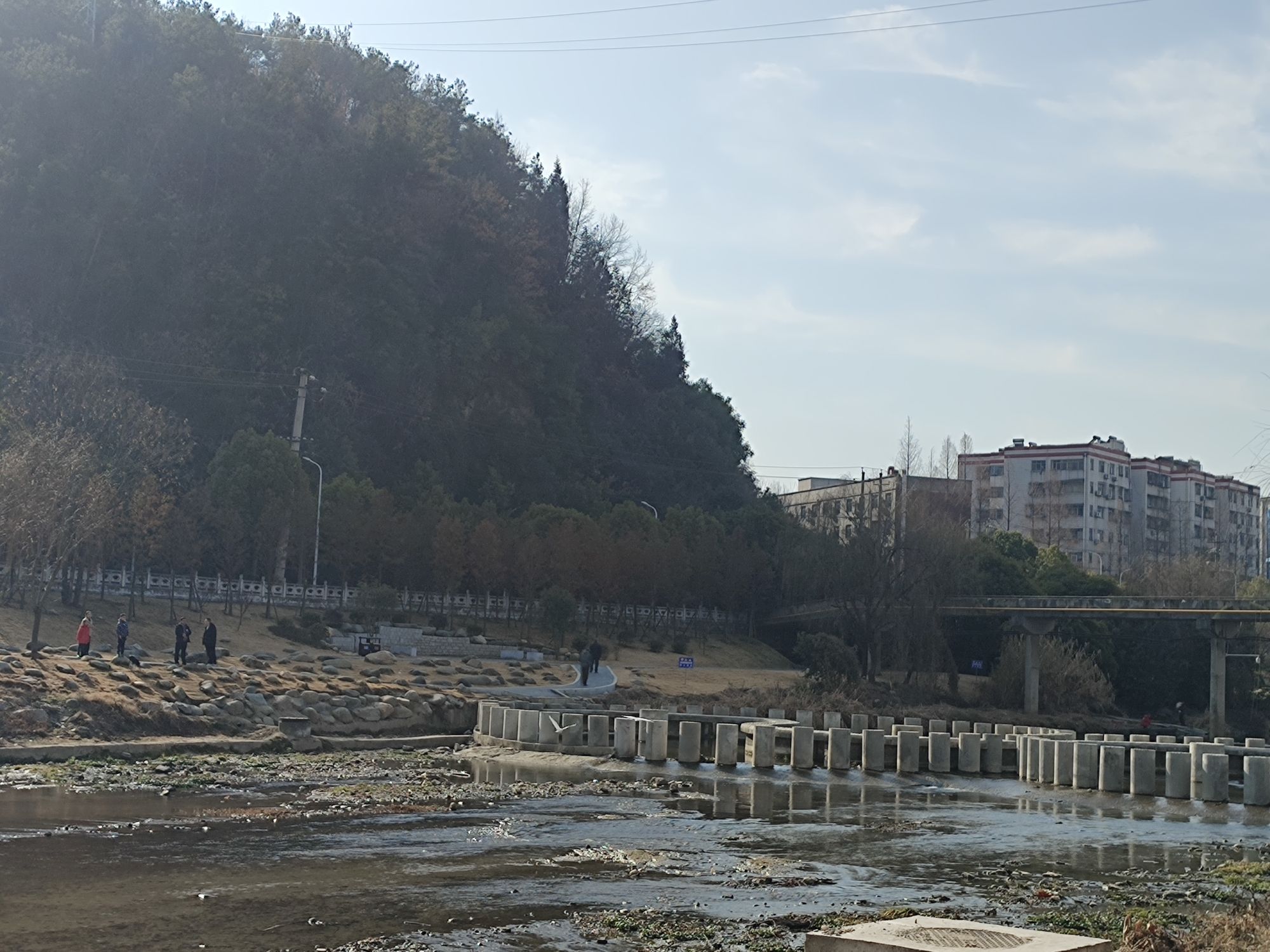 泗河湿地旅行图片 2