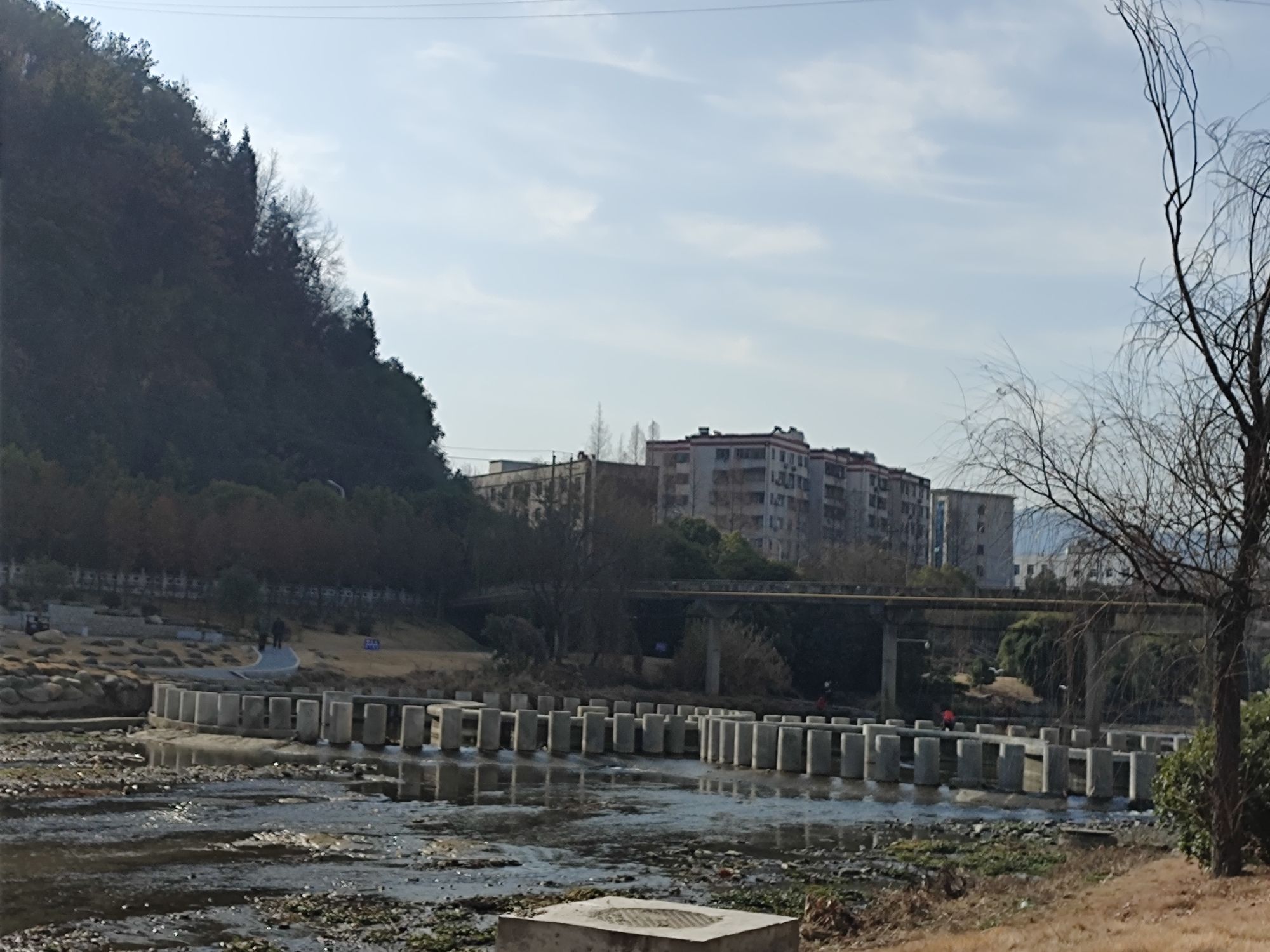 泗河湿地旅行图片 1