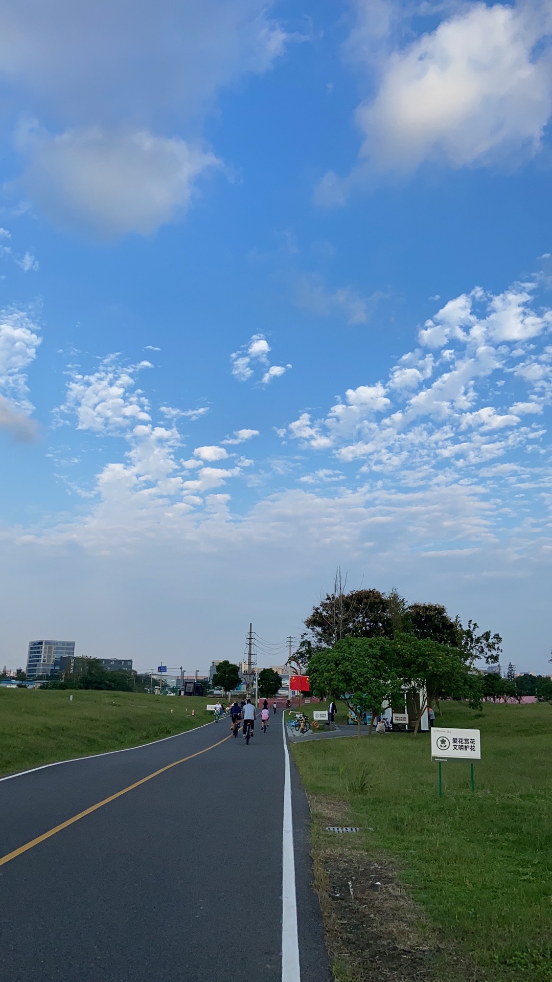 文昌路绿道旅行图片 1