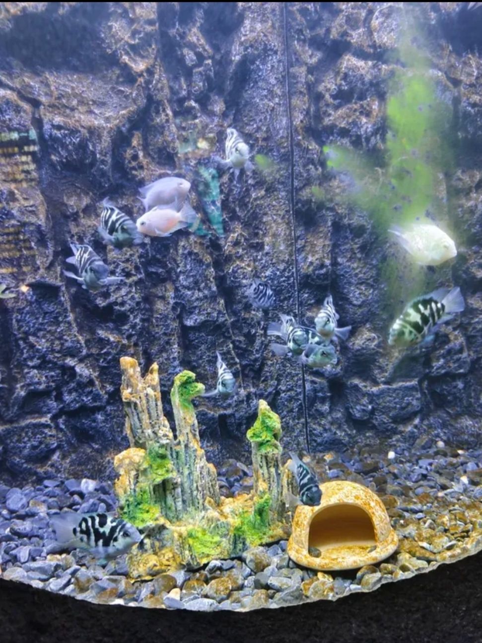达州海洋馆旅行图片 2