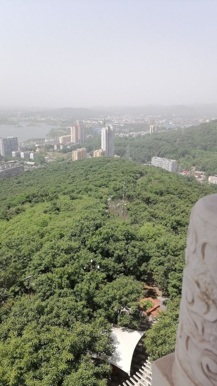 刘山观光塔旅行图片 3