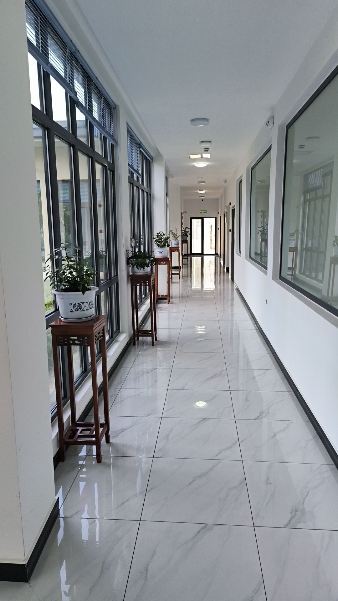 金沙江向溪珍稀植物园旅行图片 2