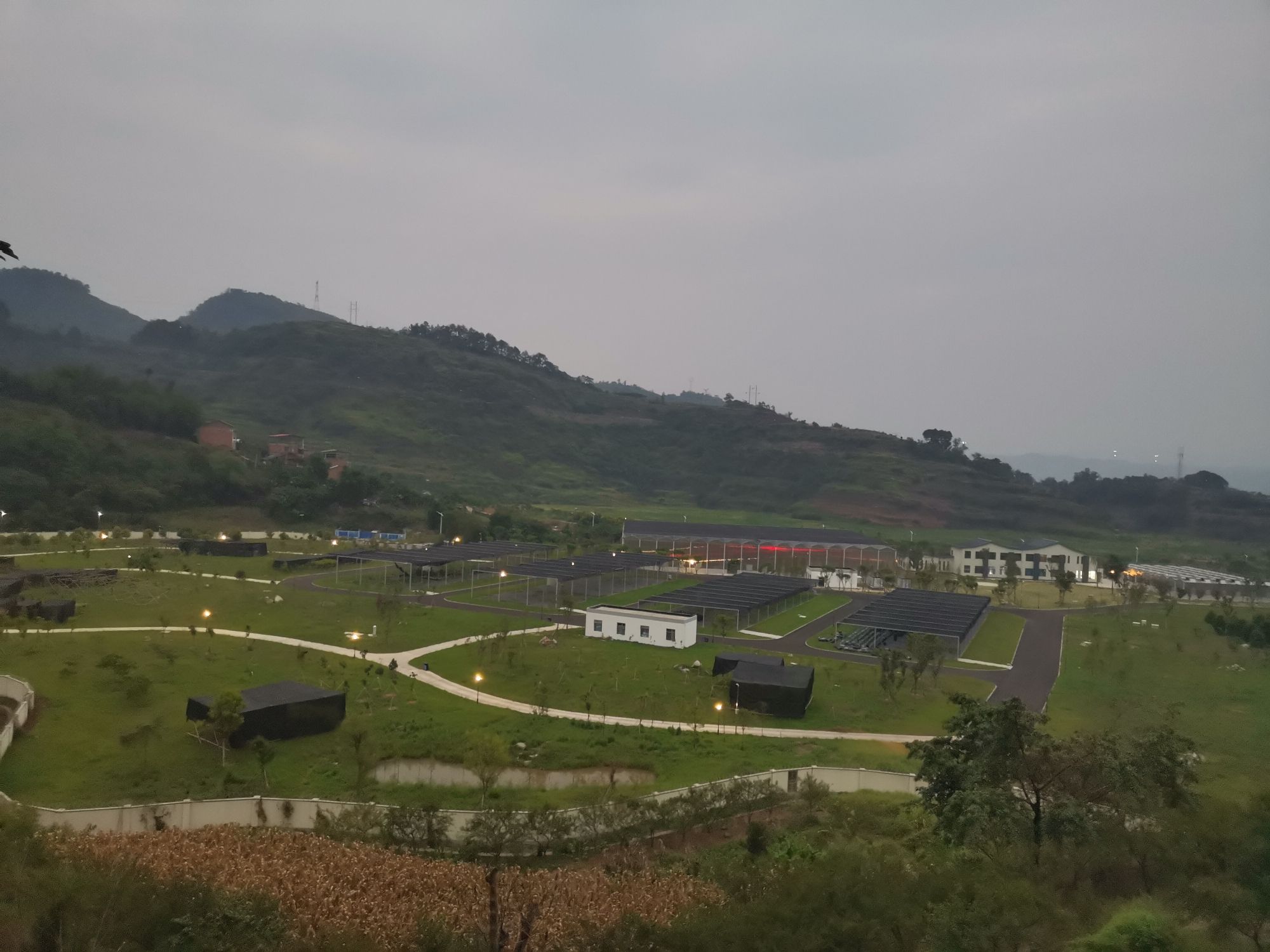 金沙江向溪珍稀植物园旅行图片 3