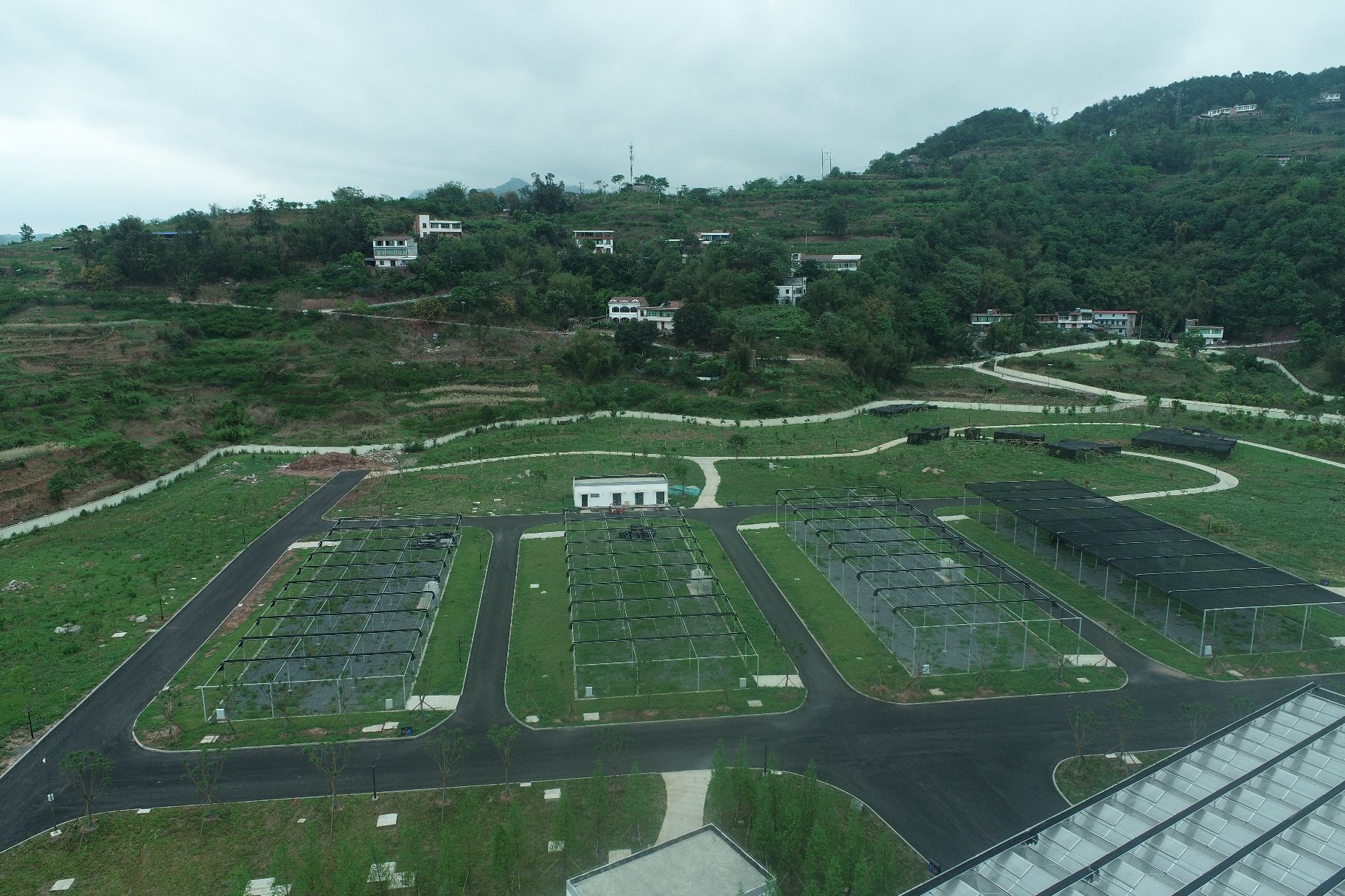 金沙江向溪珍稀植物园旅行图片 2