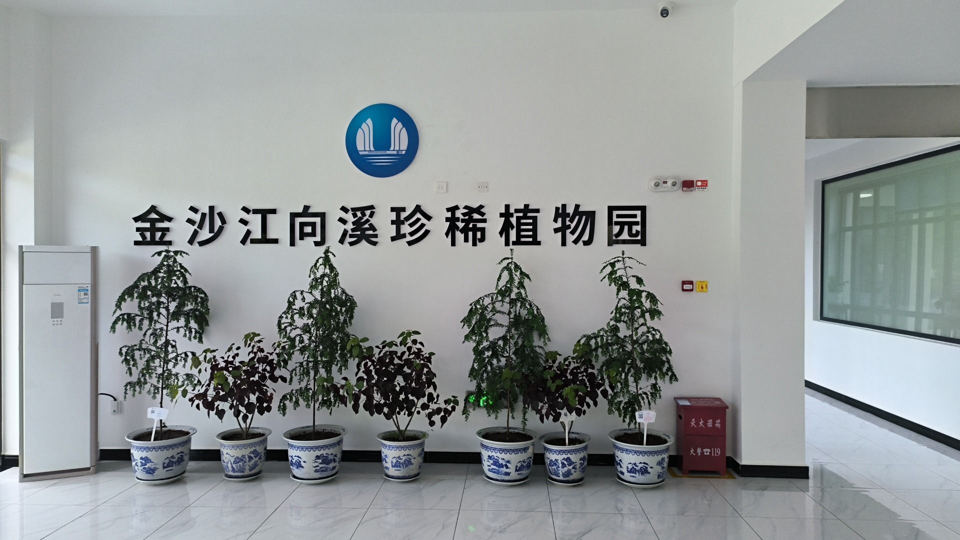 金沙江向溪珍稀植物园旅行图片 1