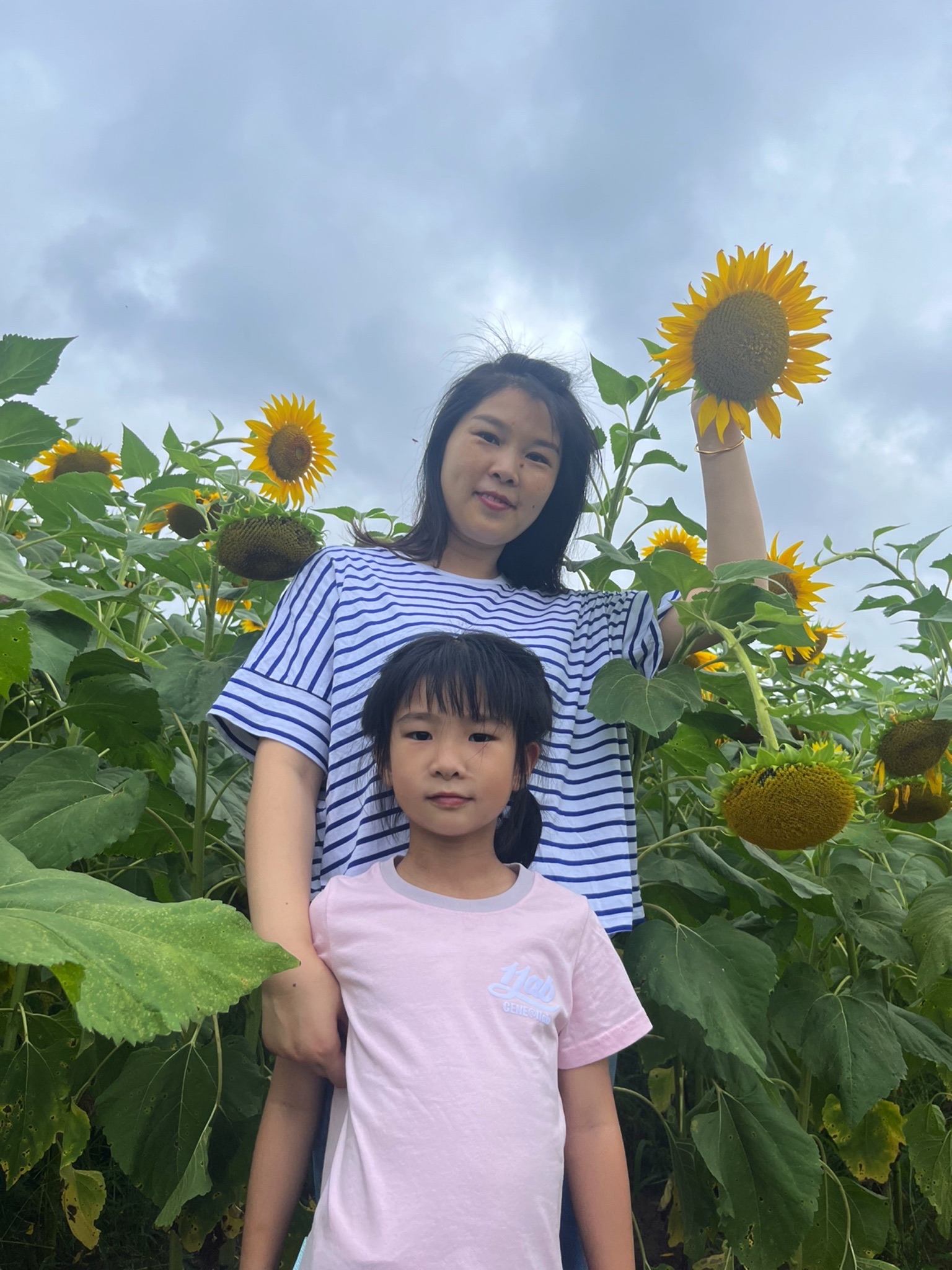 葵花小镇旅行图片 1
