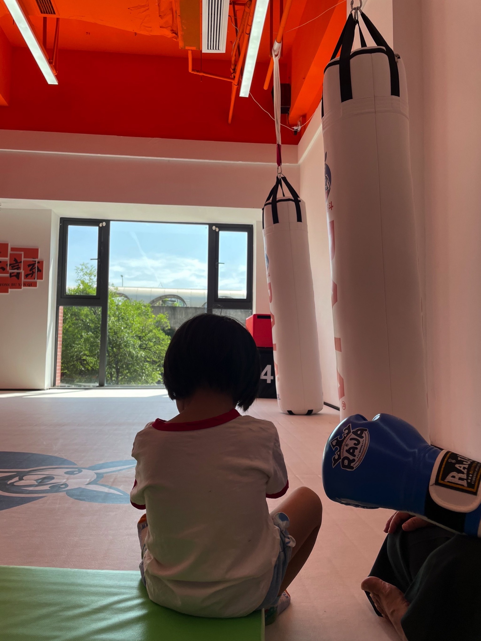 场地封面-袋鼠格斗