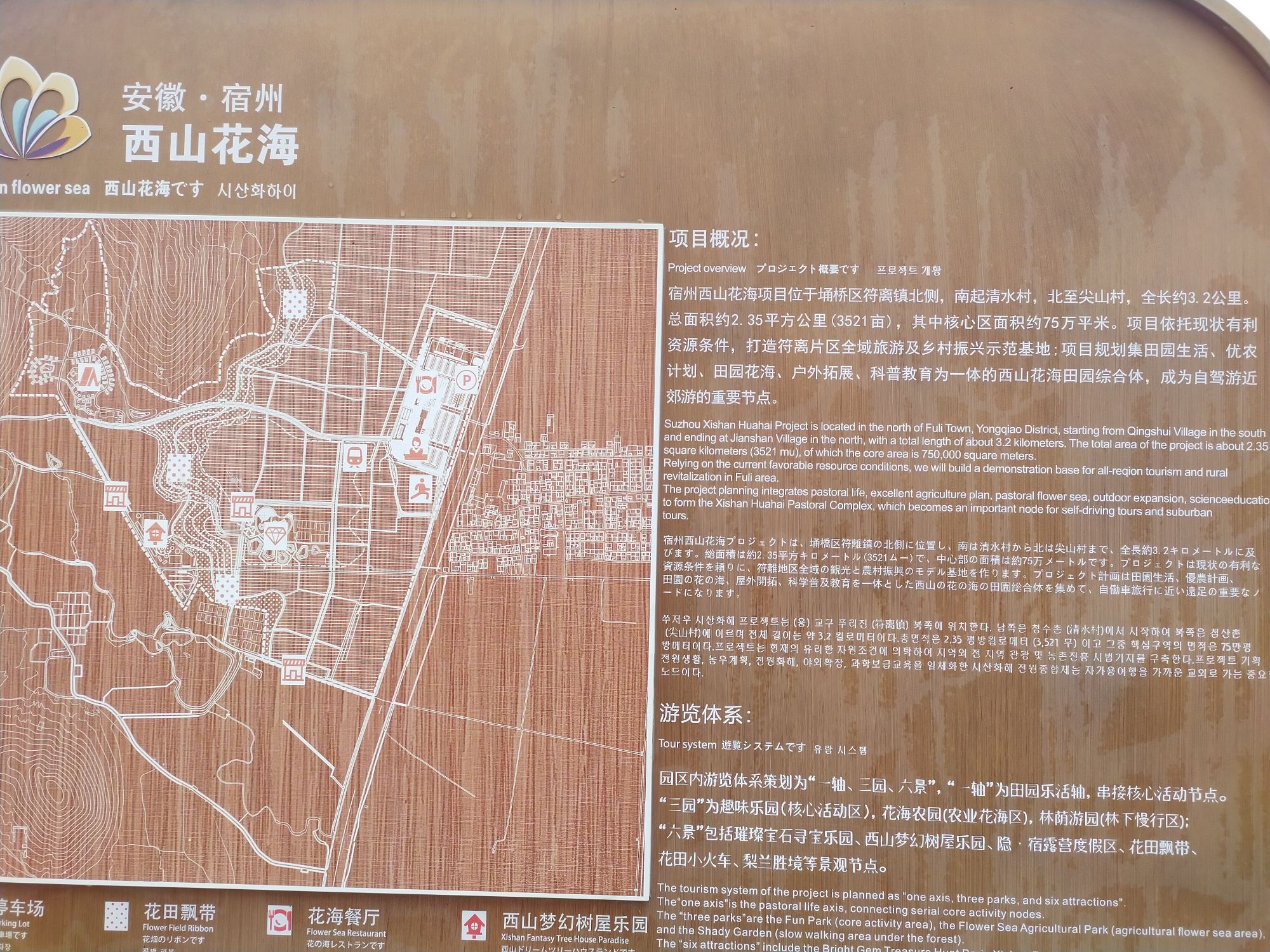 西山花海景区旅行图片 2