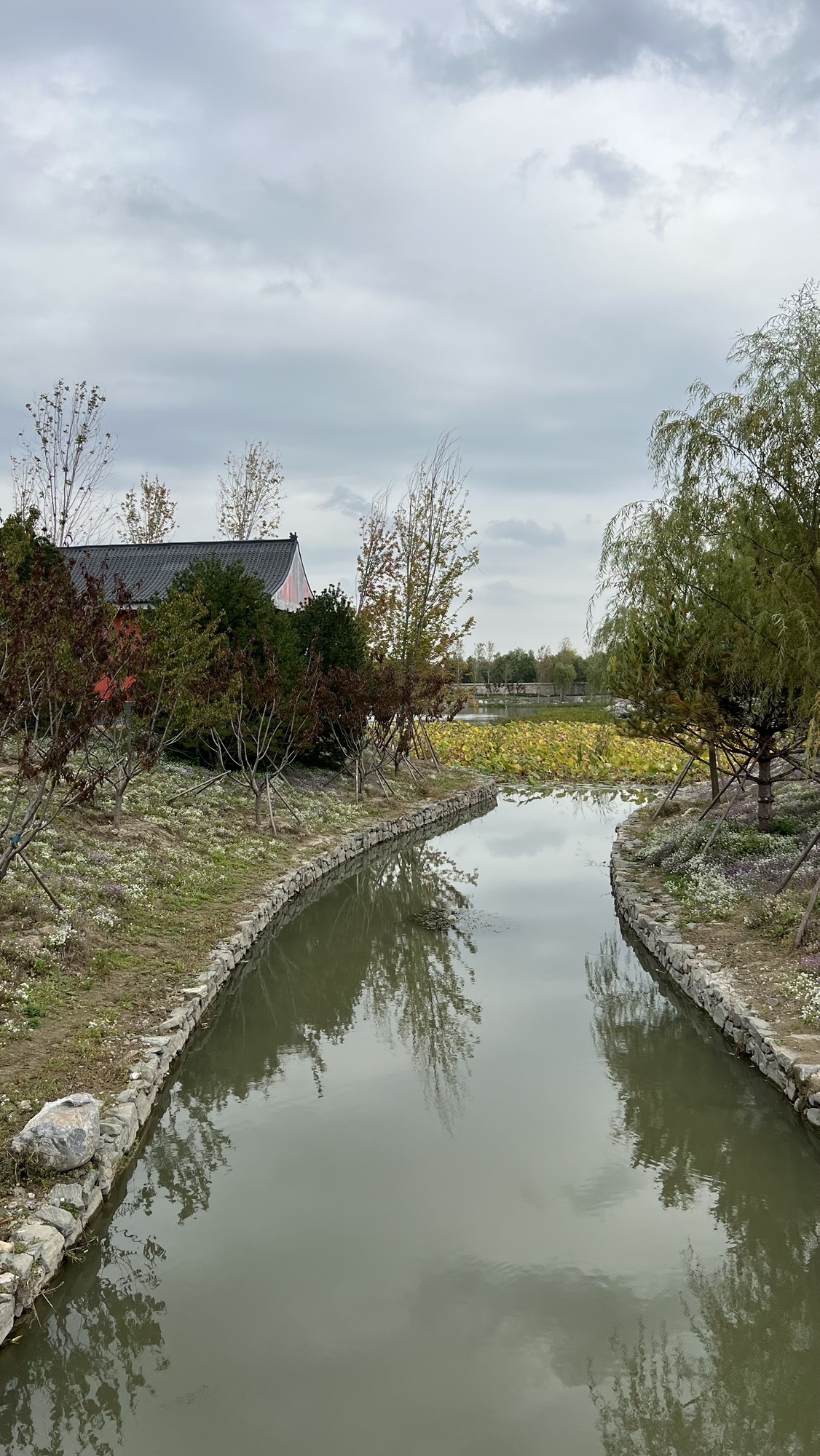 一亩园公园旅行图片 1
