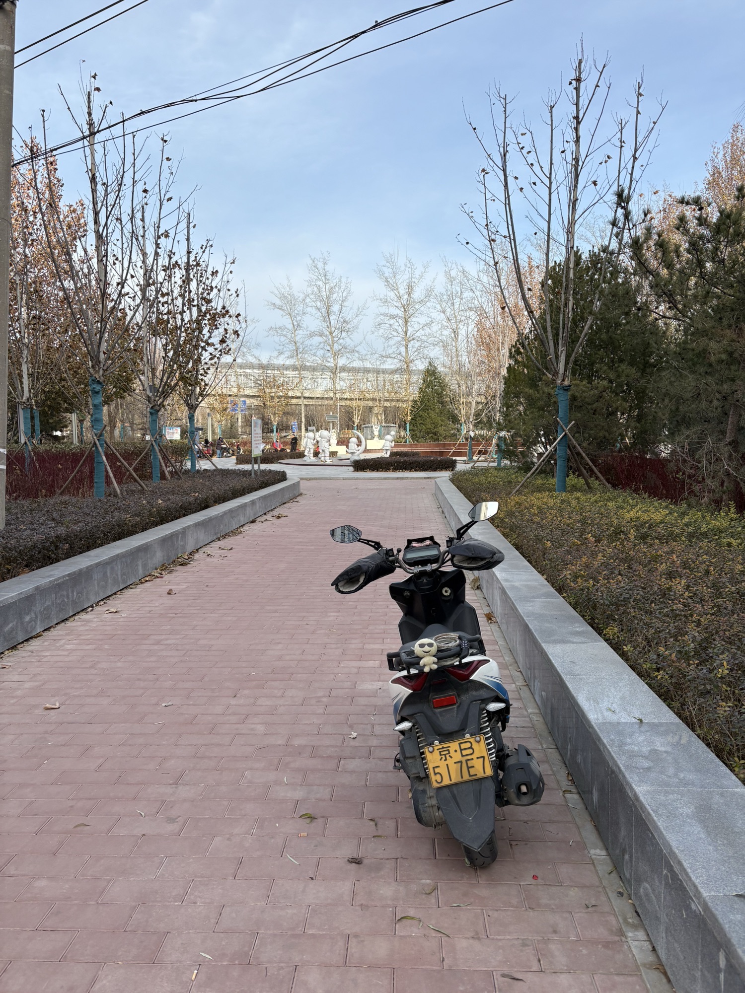 兴海休闲公园旅行图片 1