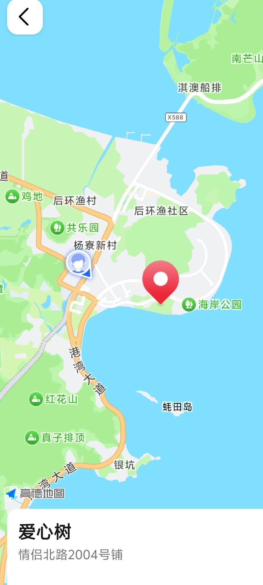 爱心树旅行图片 3