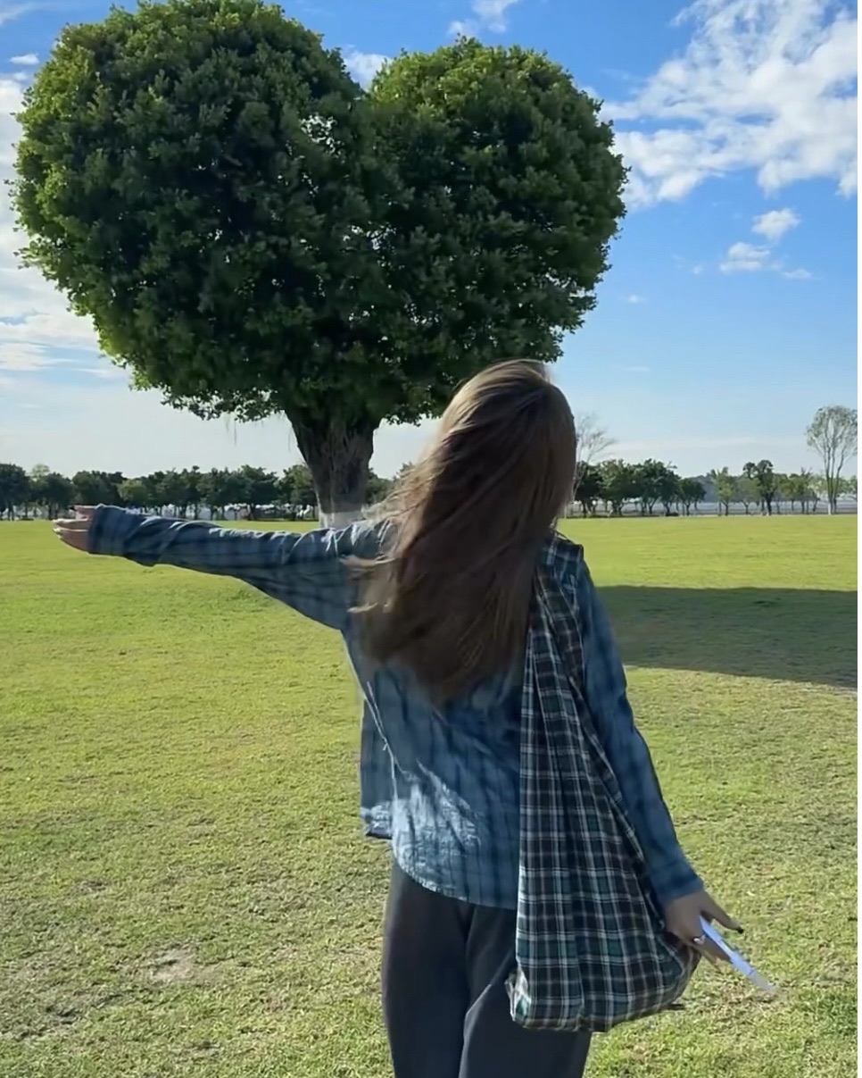 爱心树旅行图片 3
