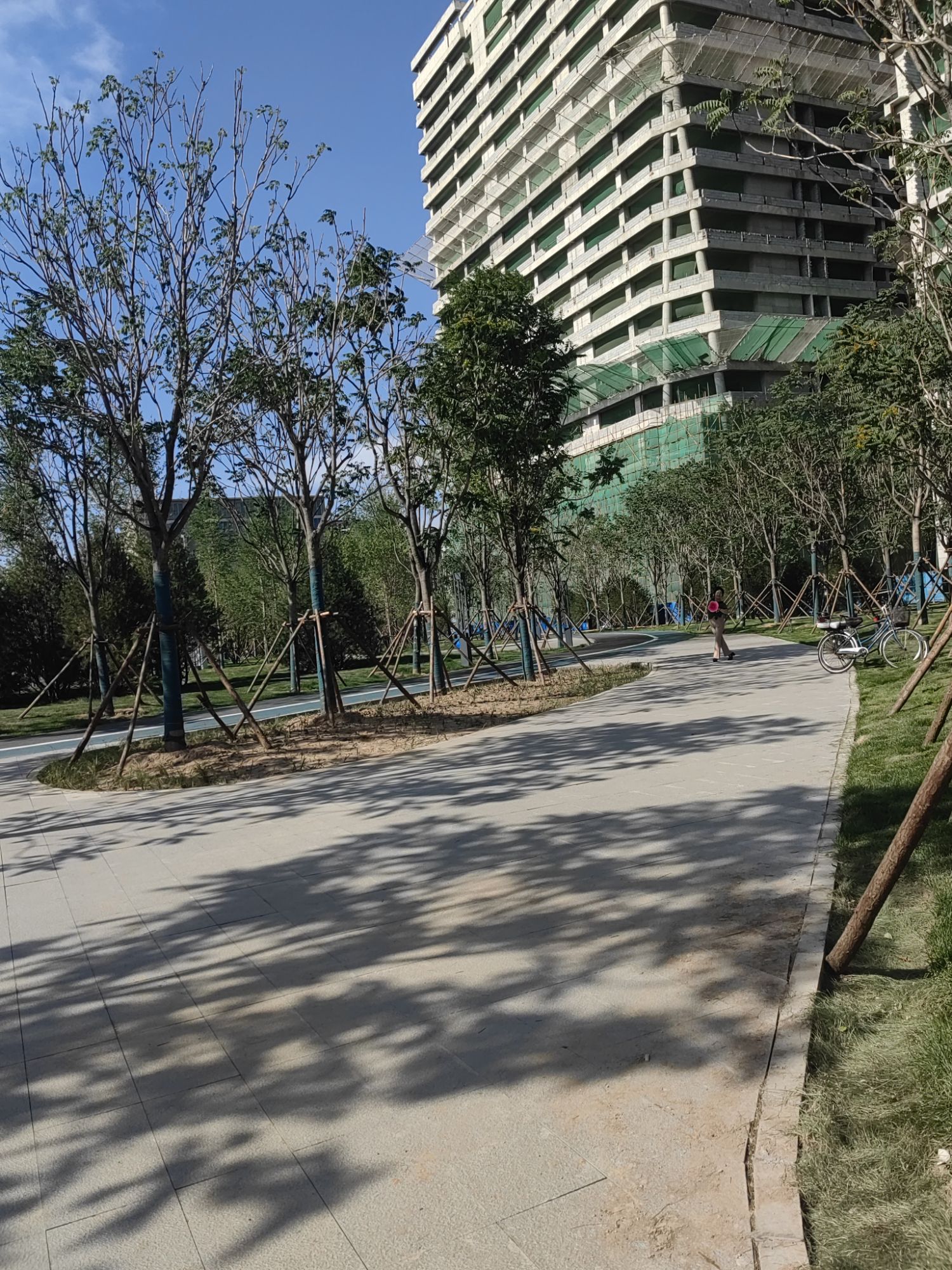 新石园旅行图片 2