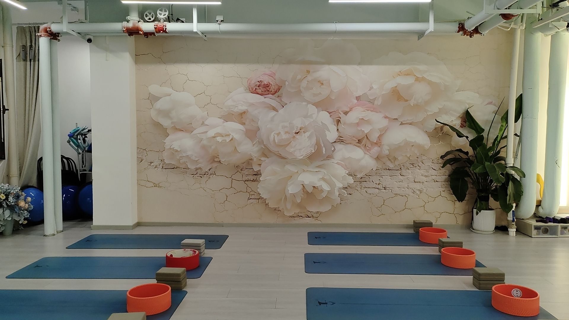 场地封面-波波瑜伽生活馆