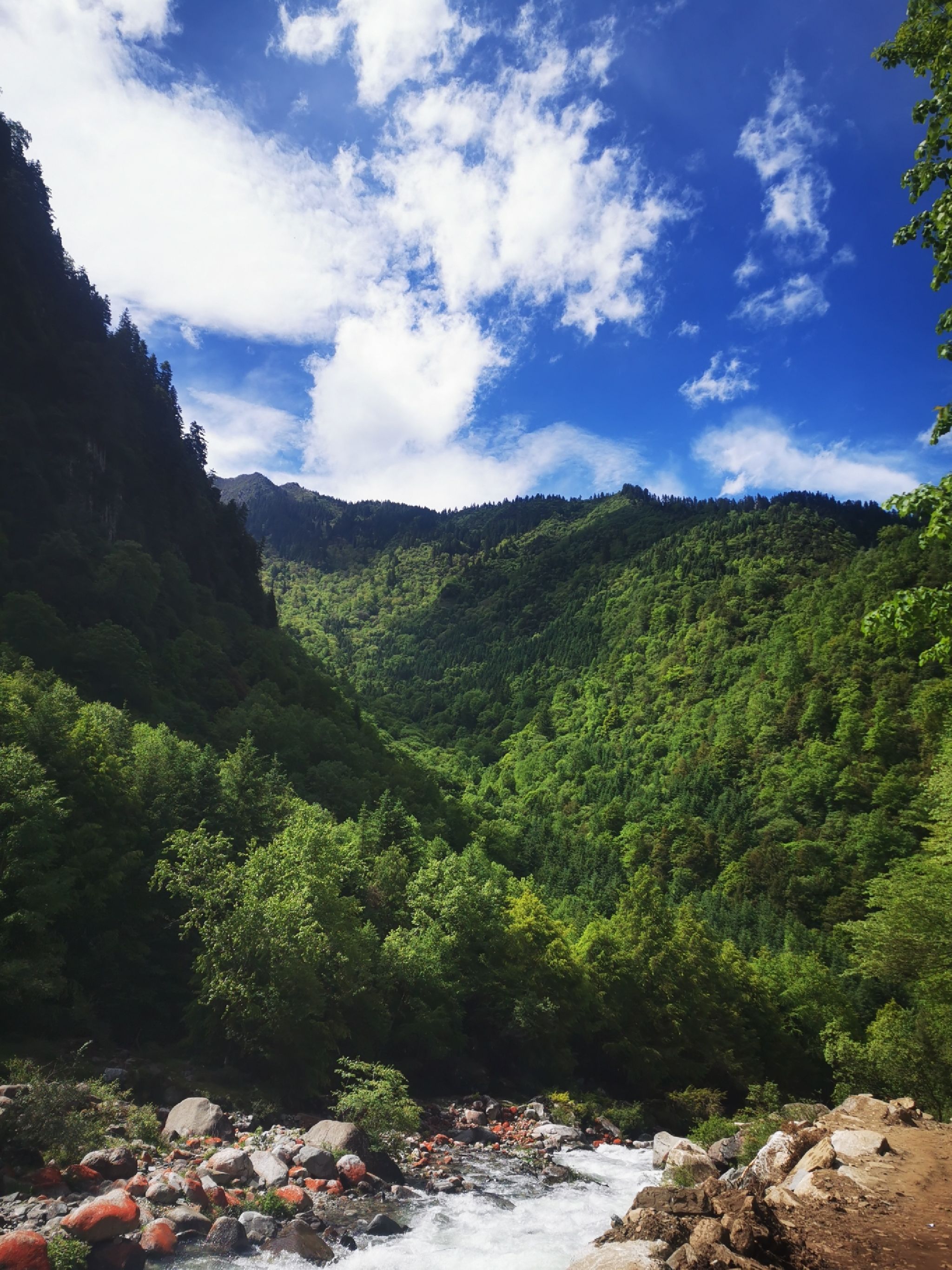 甲尔猛措旅行图片 1