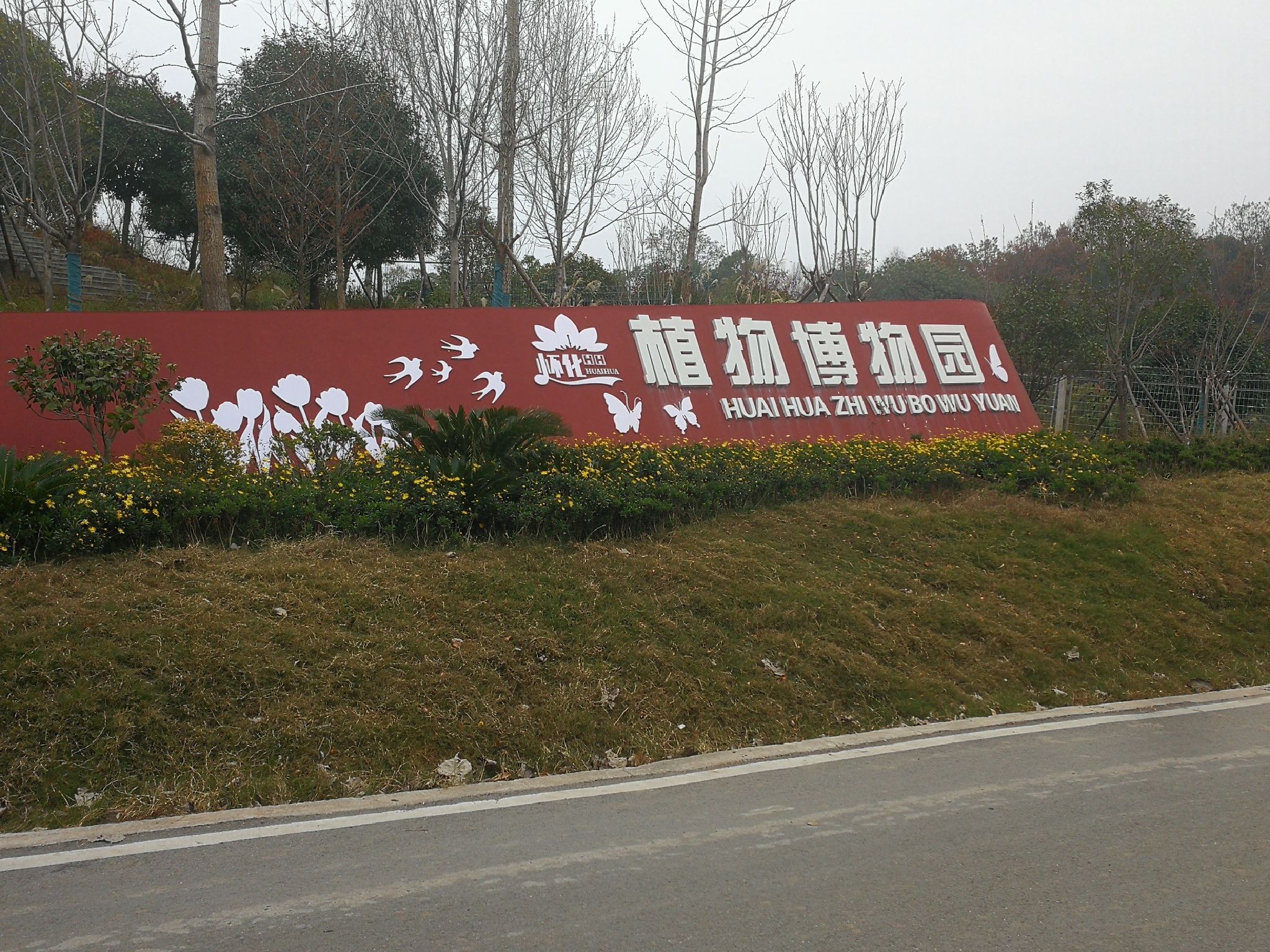 植物博物园旅行图片 1