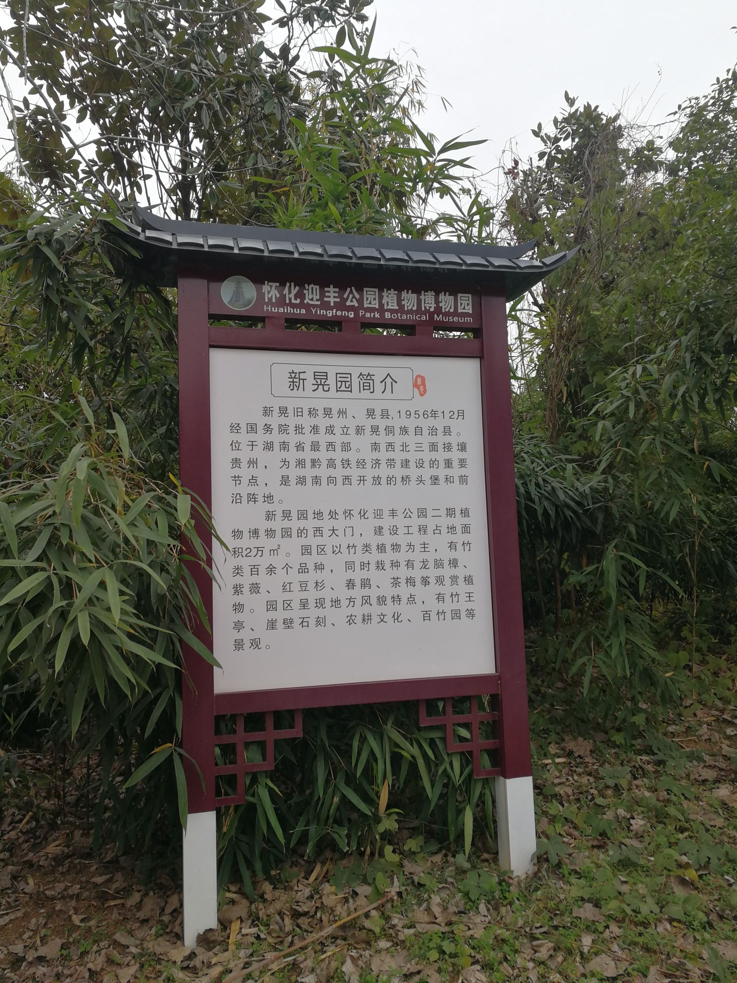 植物博物园旅行图片 2
