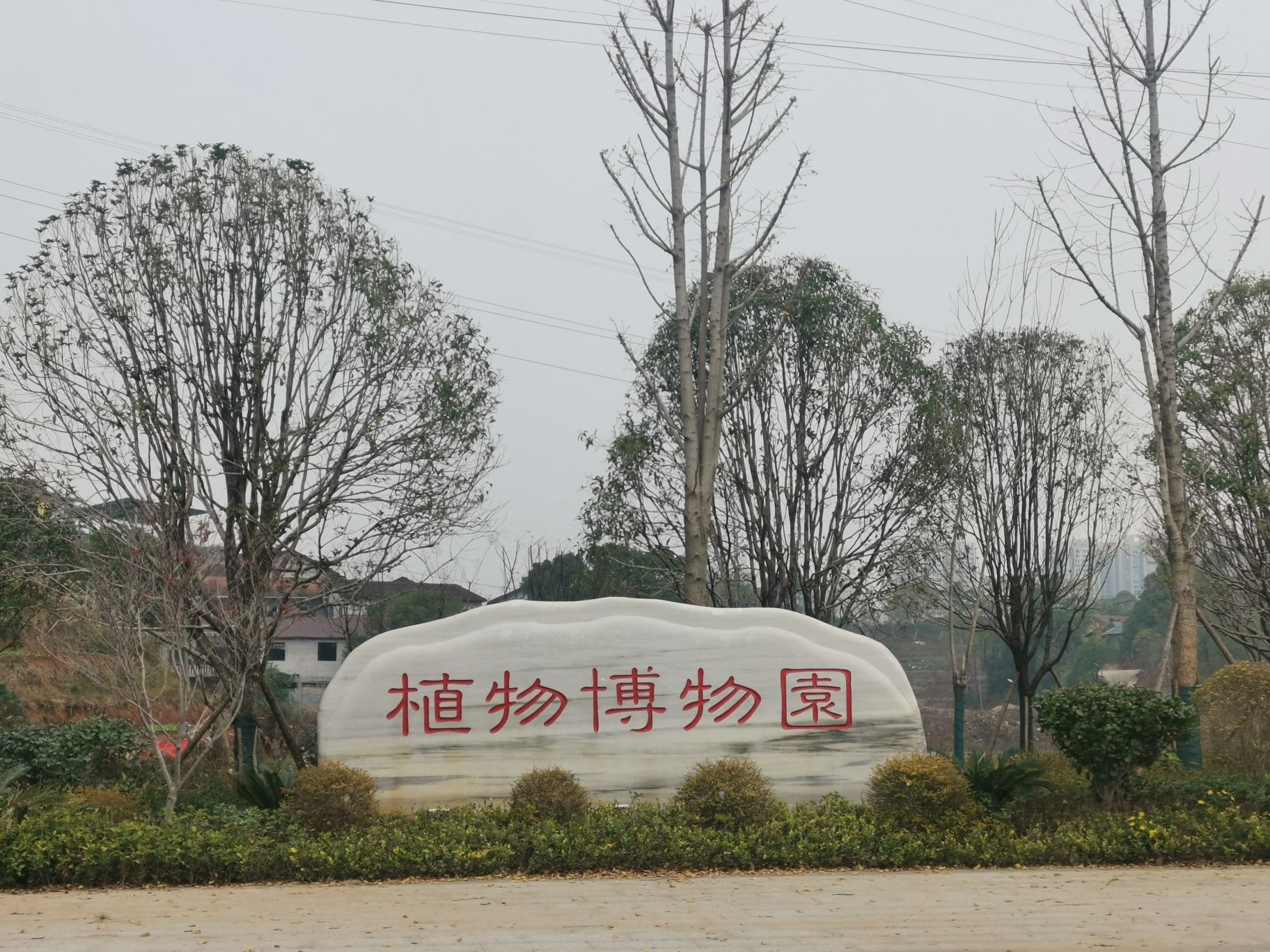 植物博物园旅行图片 2