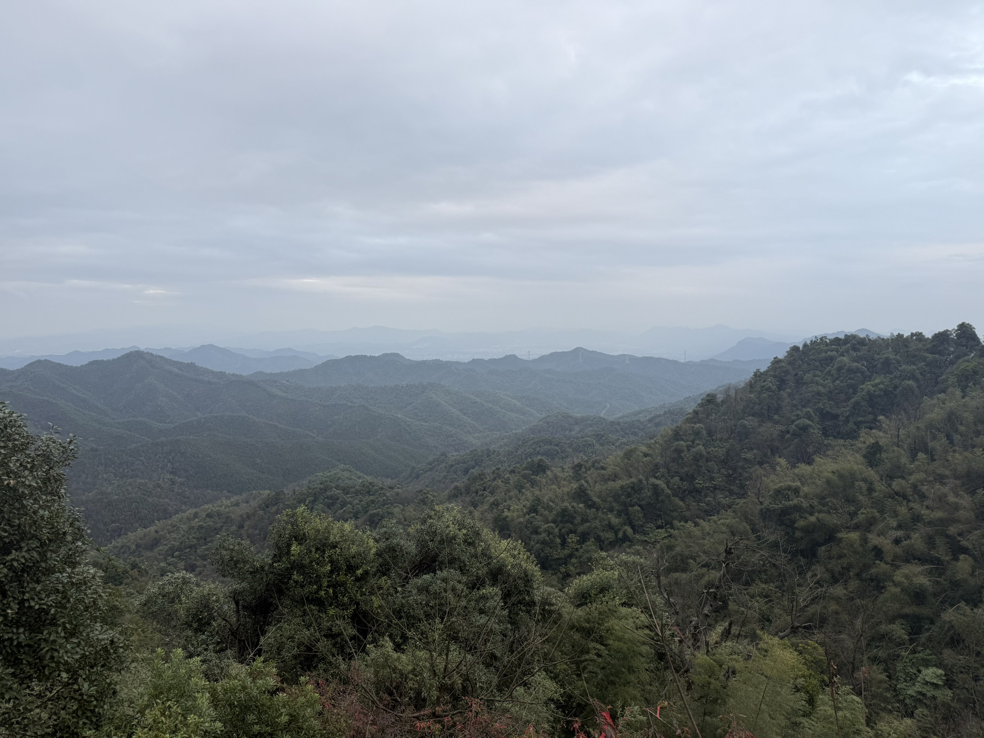 大山脑森林公园旅行图片 2