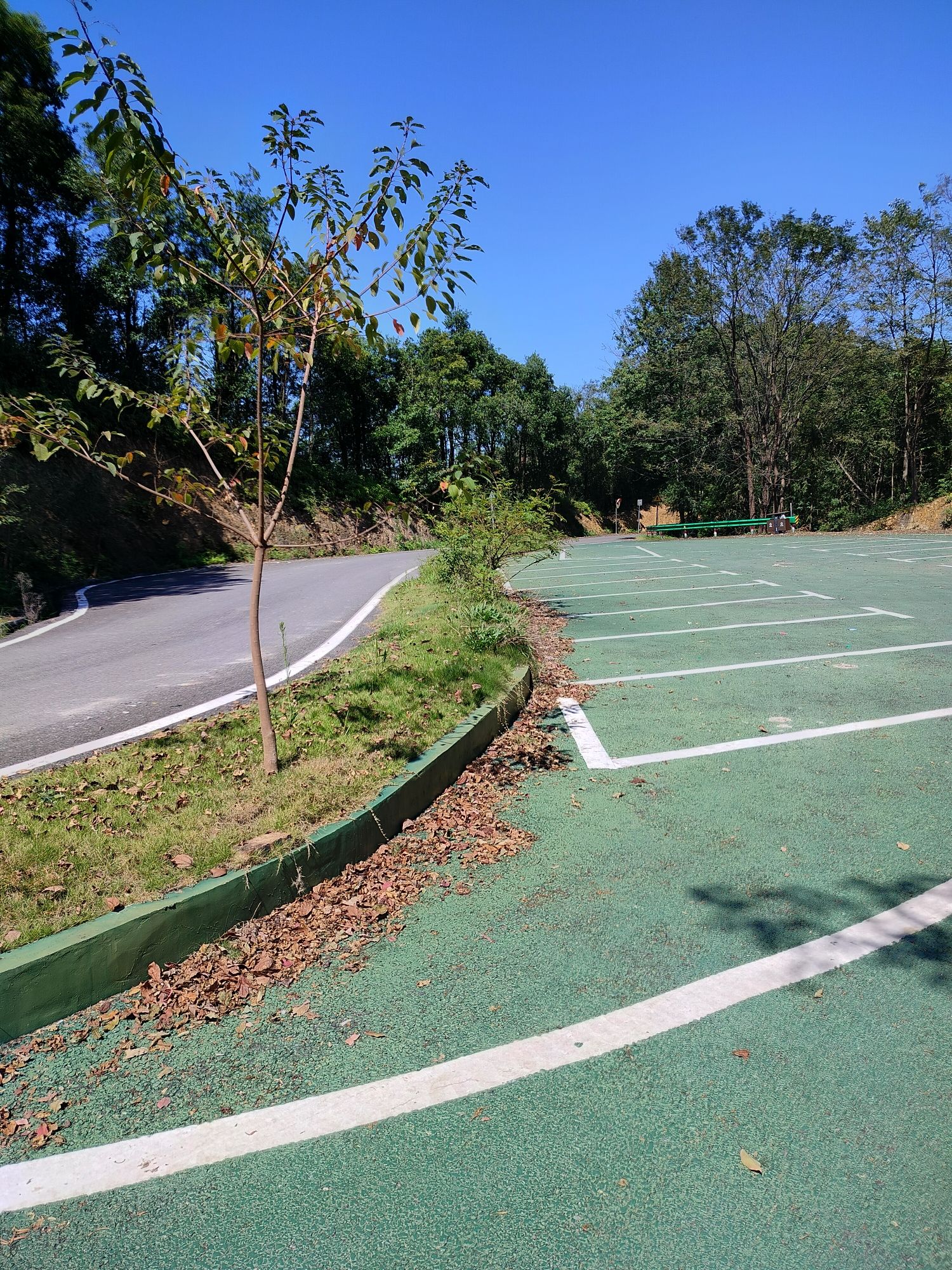 大山脑森林公园旅行图片 2