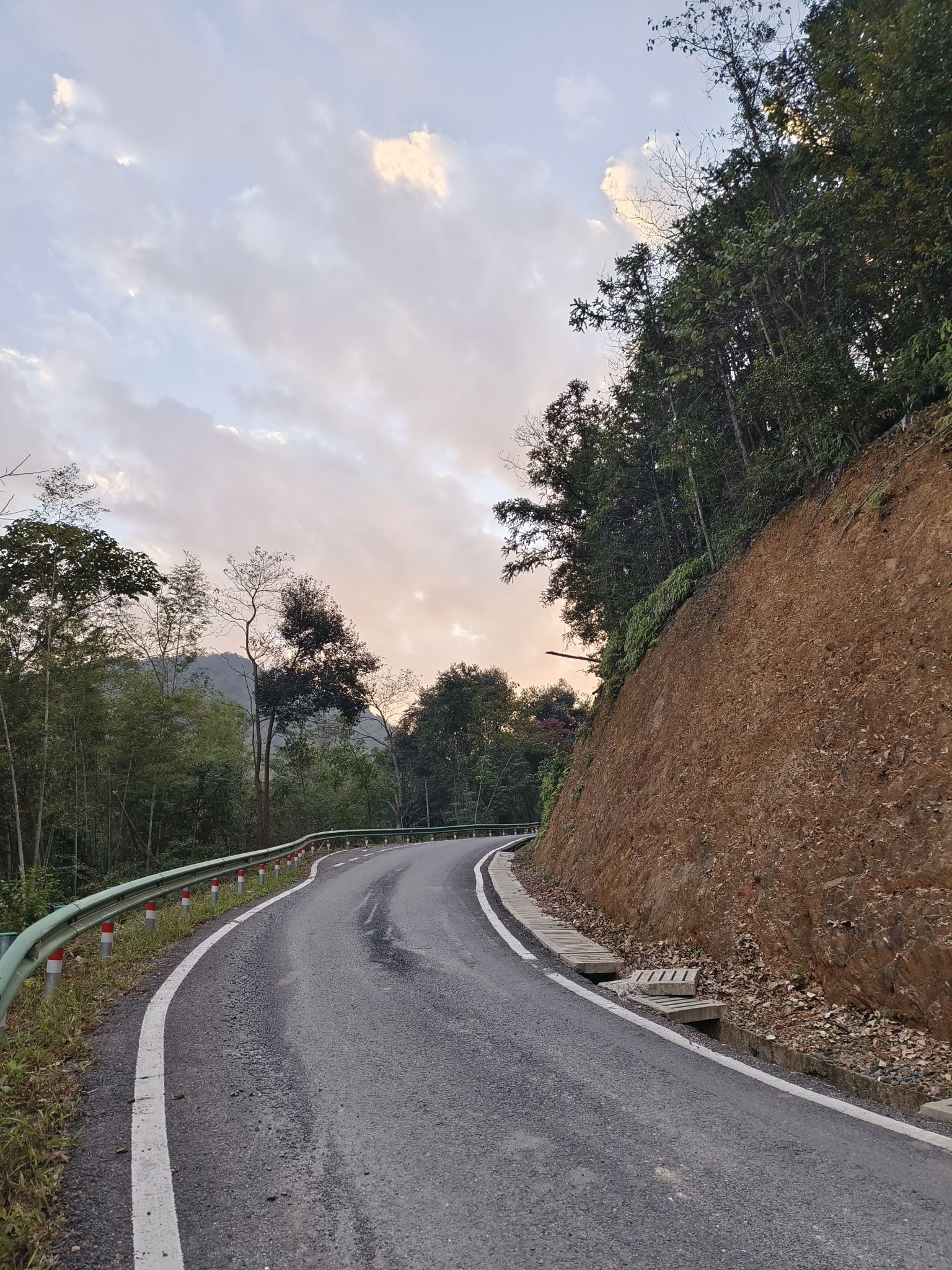 大山脑森林公园旅行图片 1