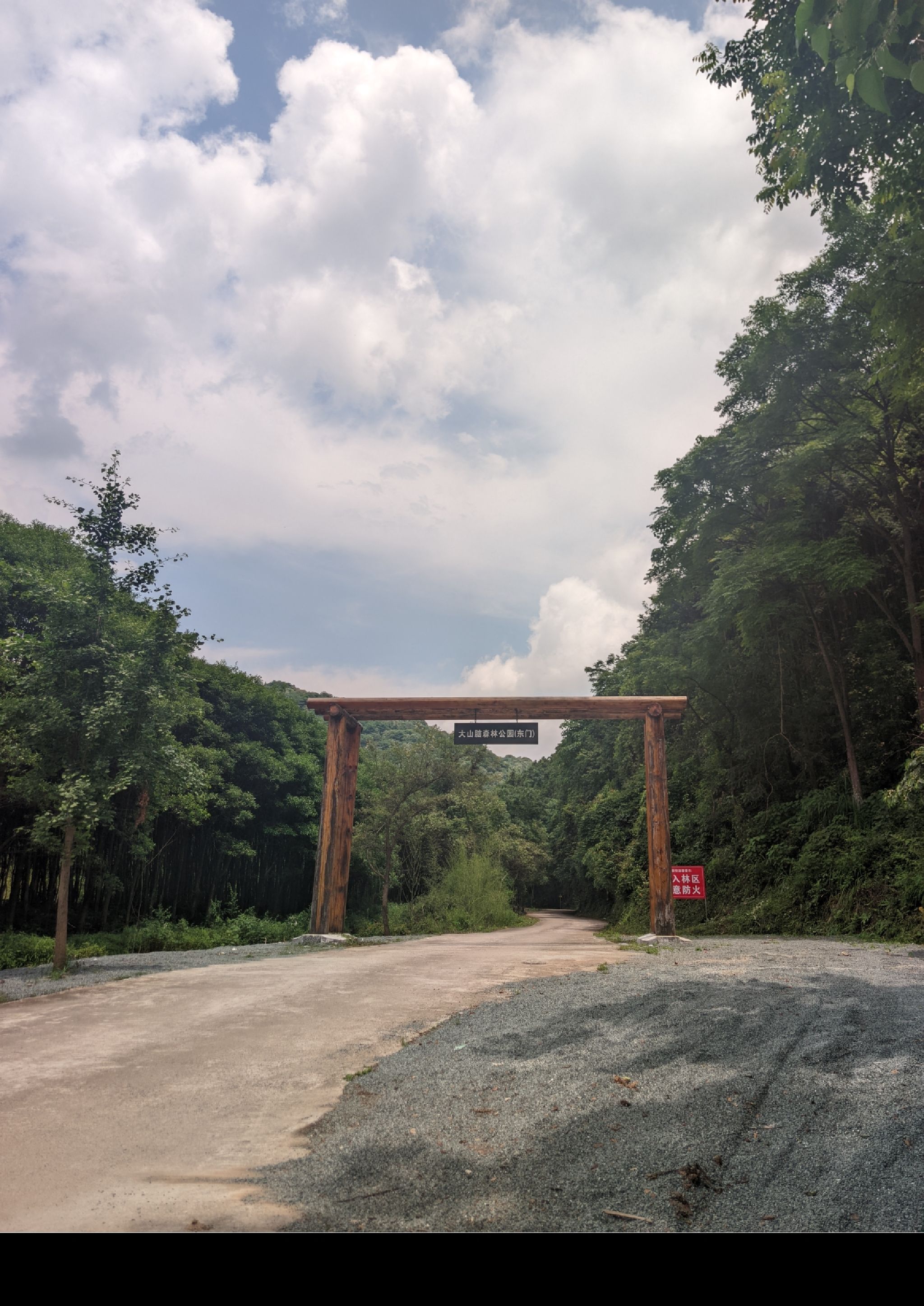 大山脑森林公园