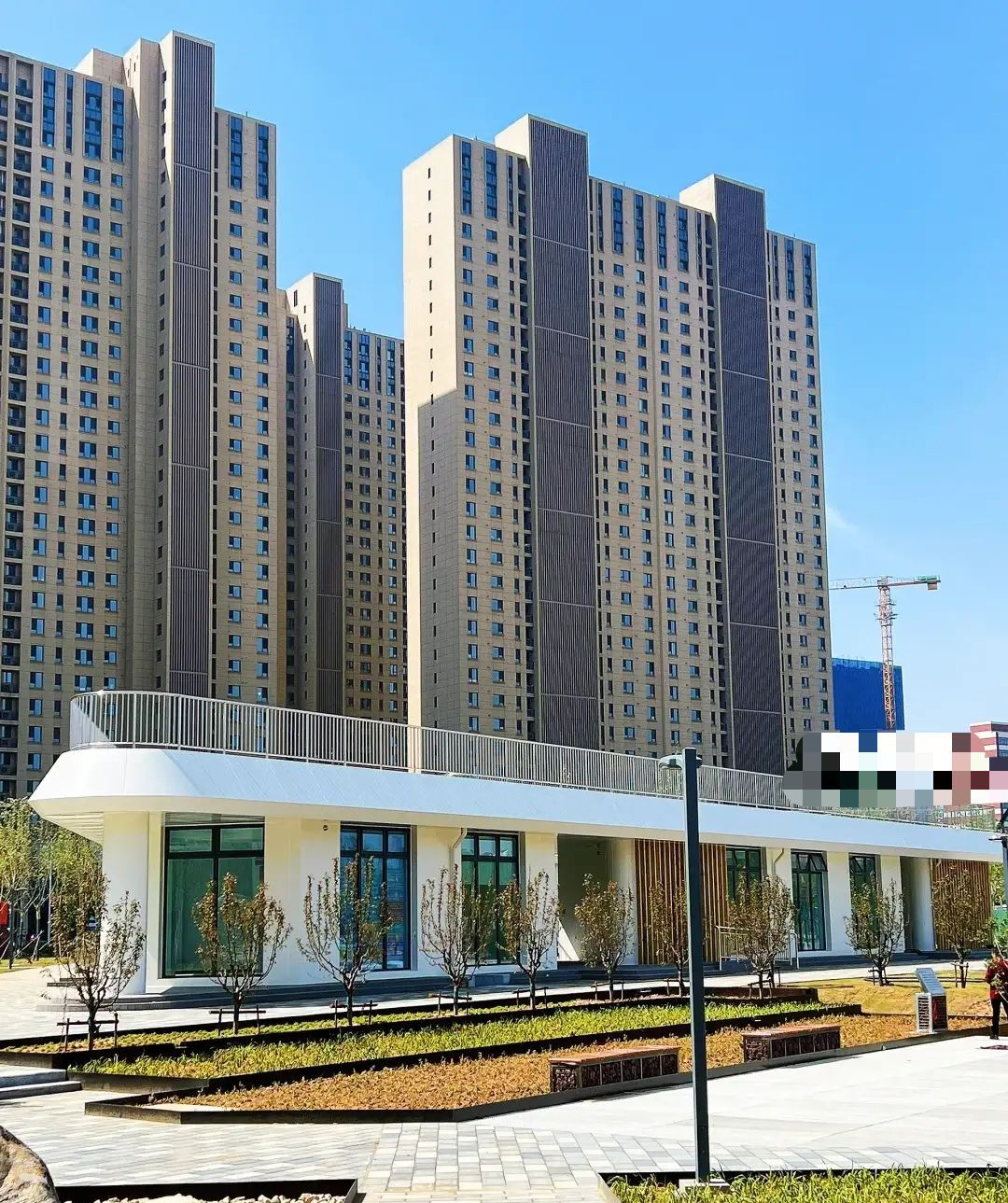 雨栖凤翔公园旅行图片 2